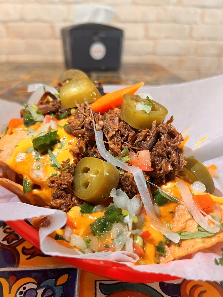 Loaded Birria Nachos/ Fries