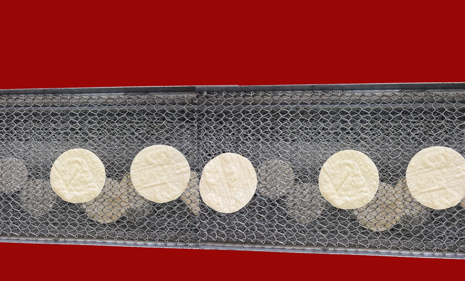 Freshly made tortillas on a conveyor belt for cooking.