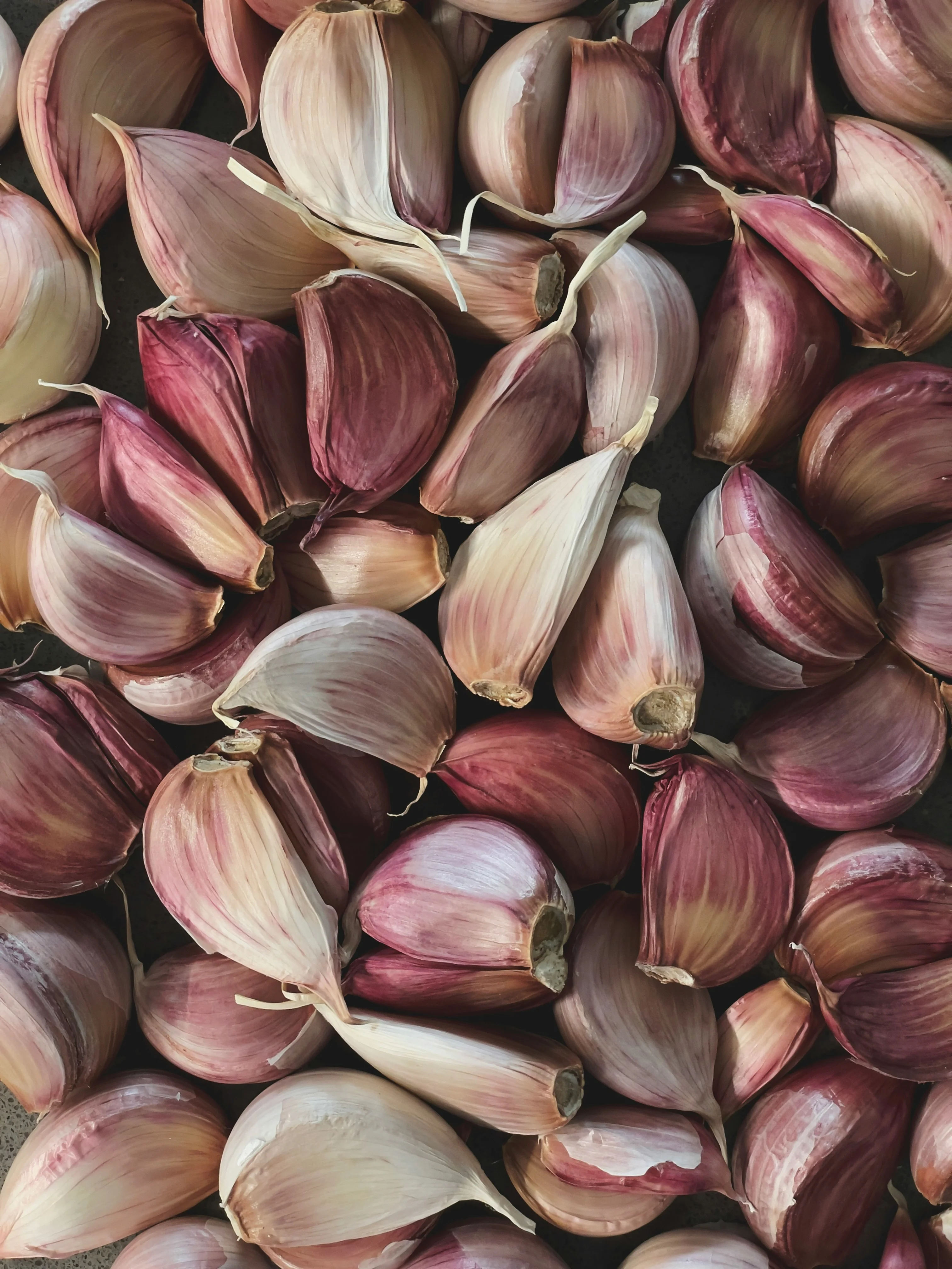Close-up of fresh garlic bulbs and cloves with papery purple skins