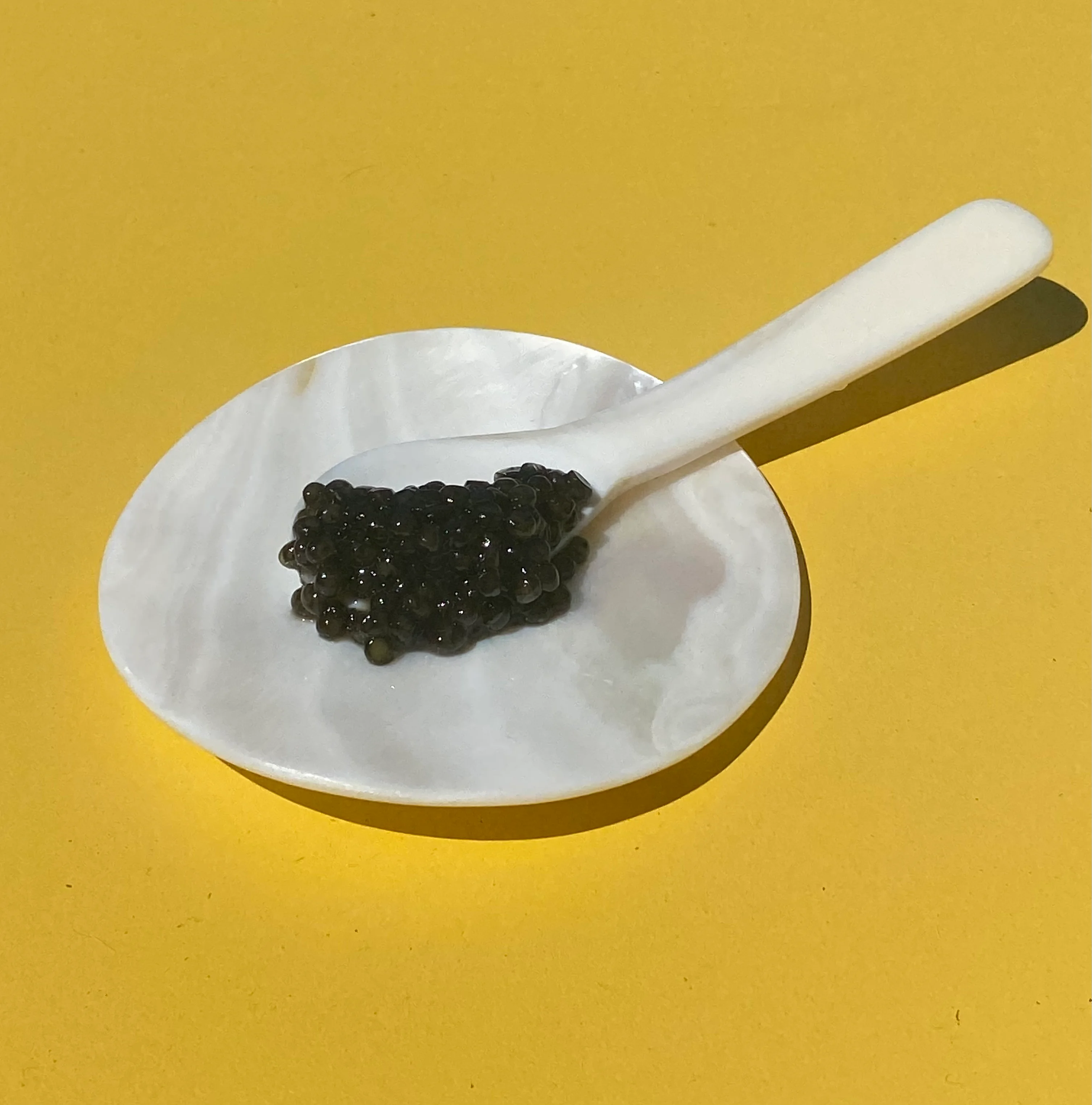 Gourmet caviar served on a white plate with a spoon
