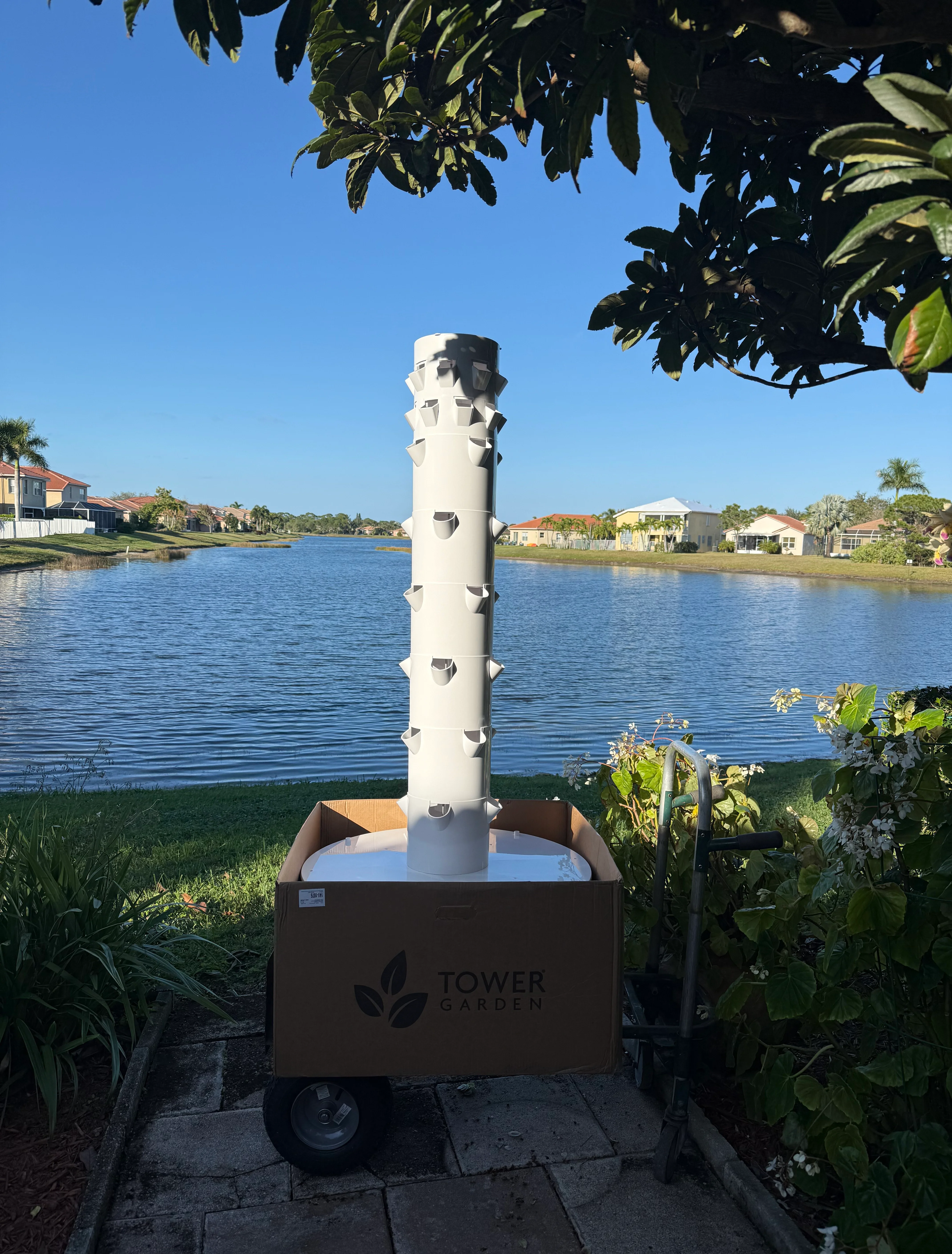 Hydroponic tower garden with fresh lettuce