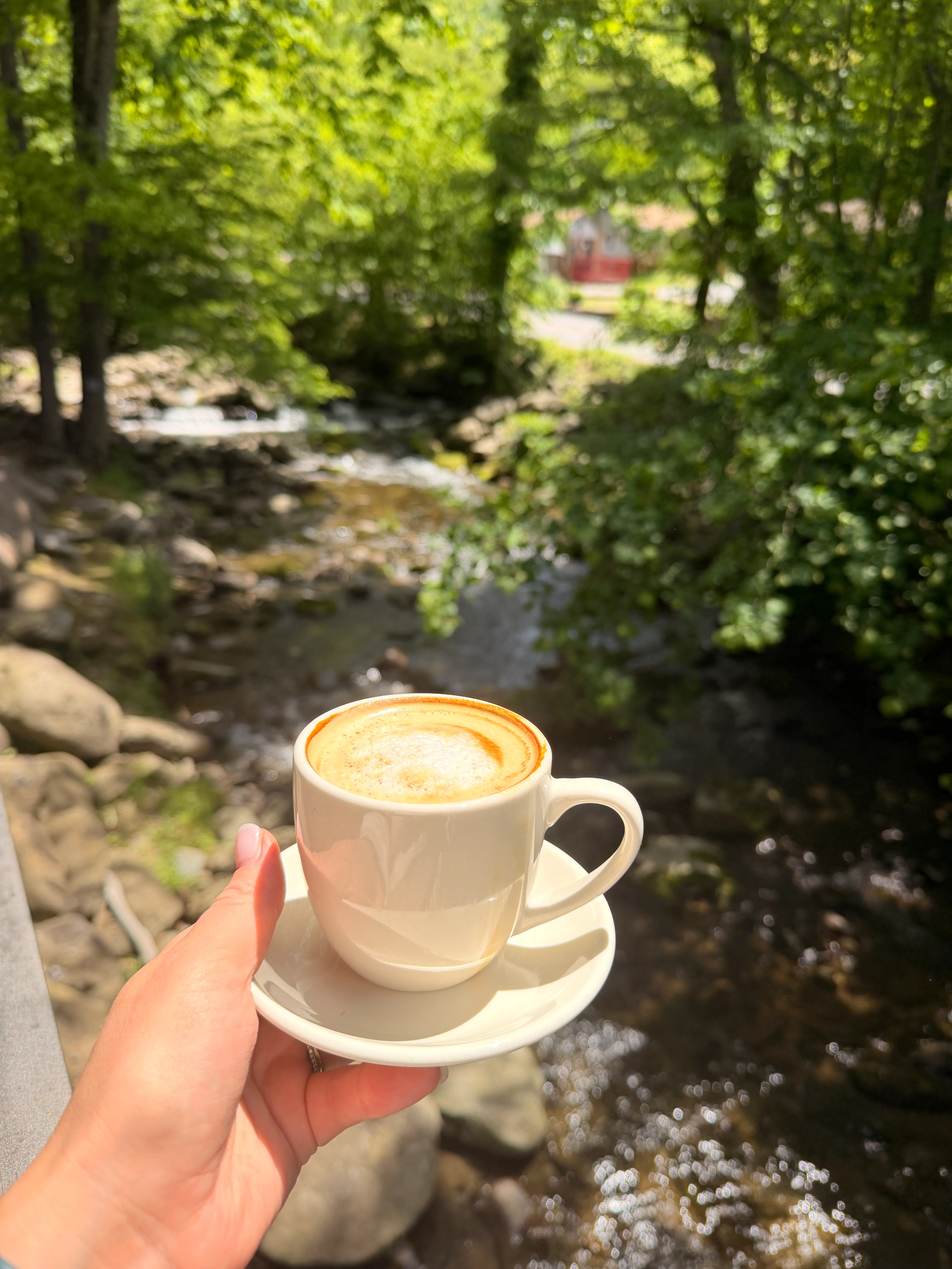 A cup of coffee held in front of a serene natural backdrop with trees and a small stream.