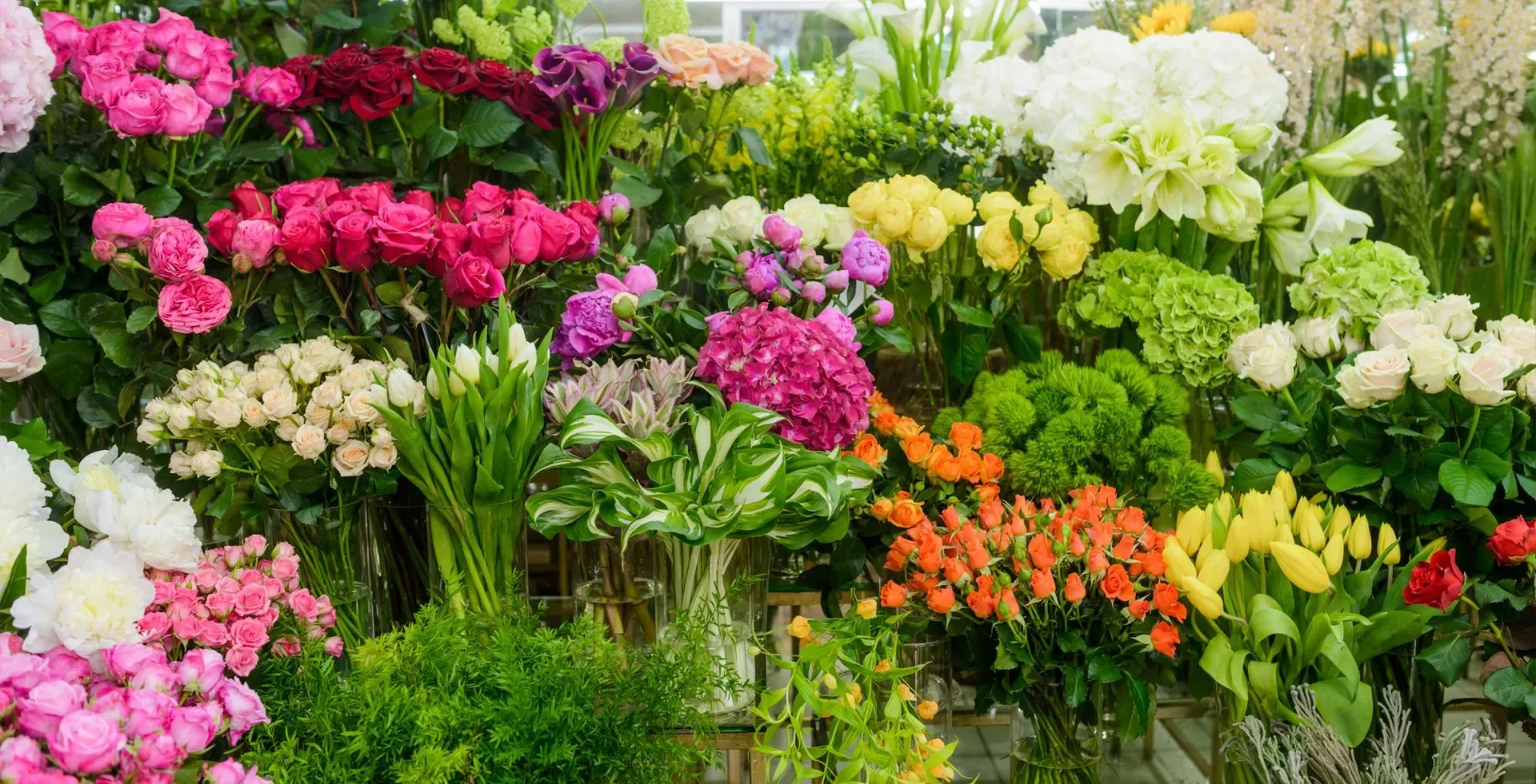 Vibrant flower display with assorted blooms