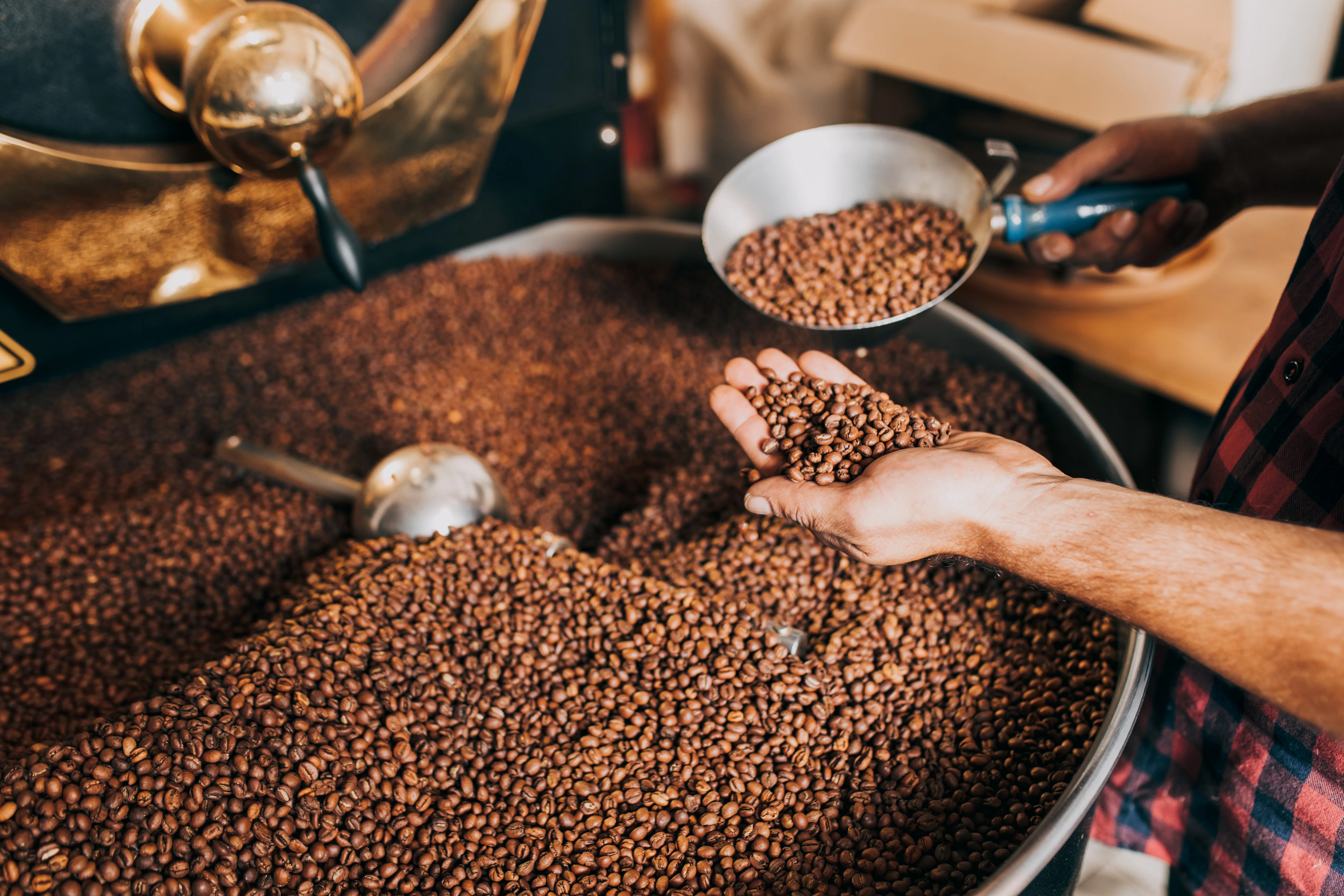 Coffee beans being roasted