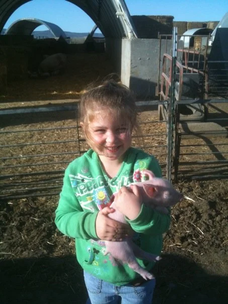 A child wearing a straw hat holds a small piglet in a farm setting with a clear blue sky.