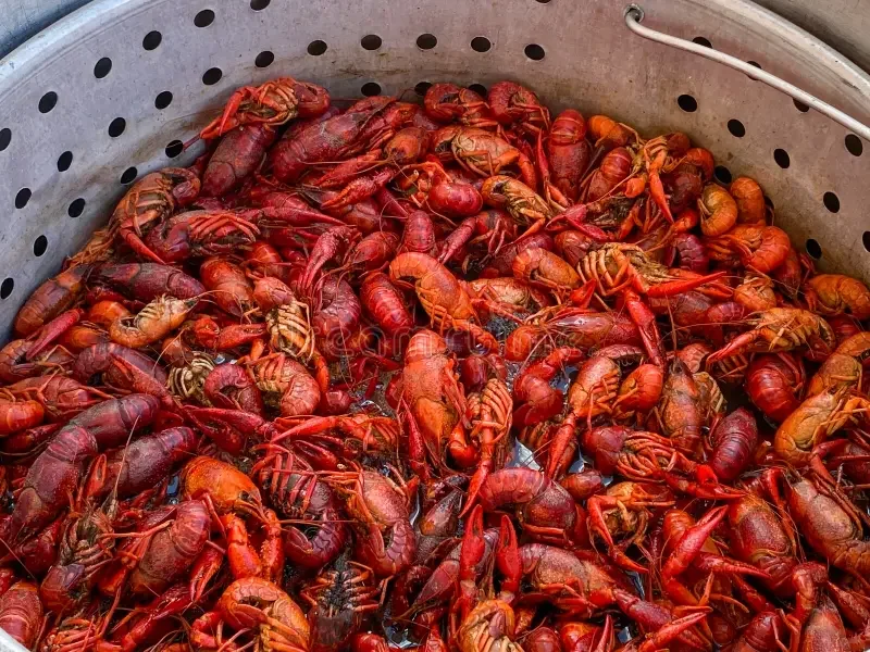 Boiling pot of Louisiana crawfish ready for a seafood feast