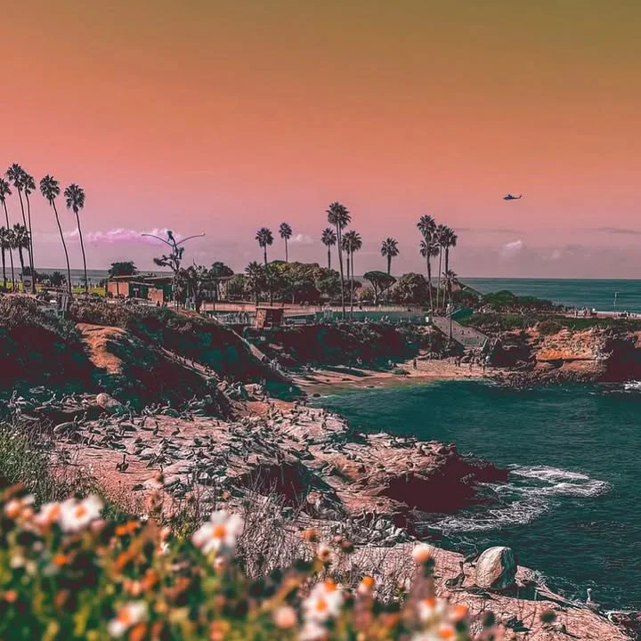 Scenic coastal view with palm trees and ocean at sunset