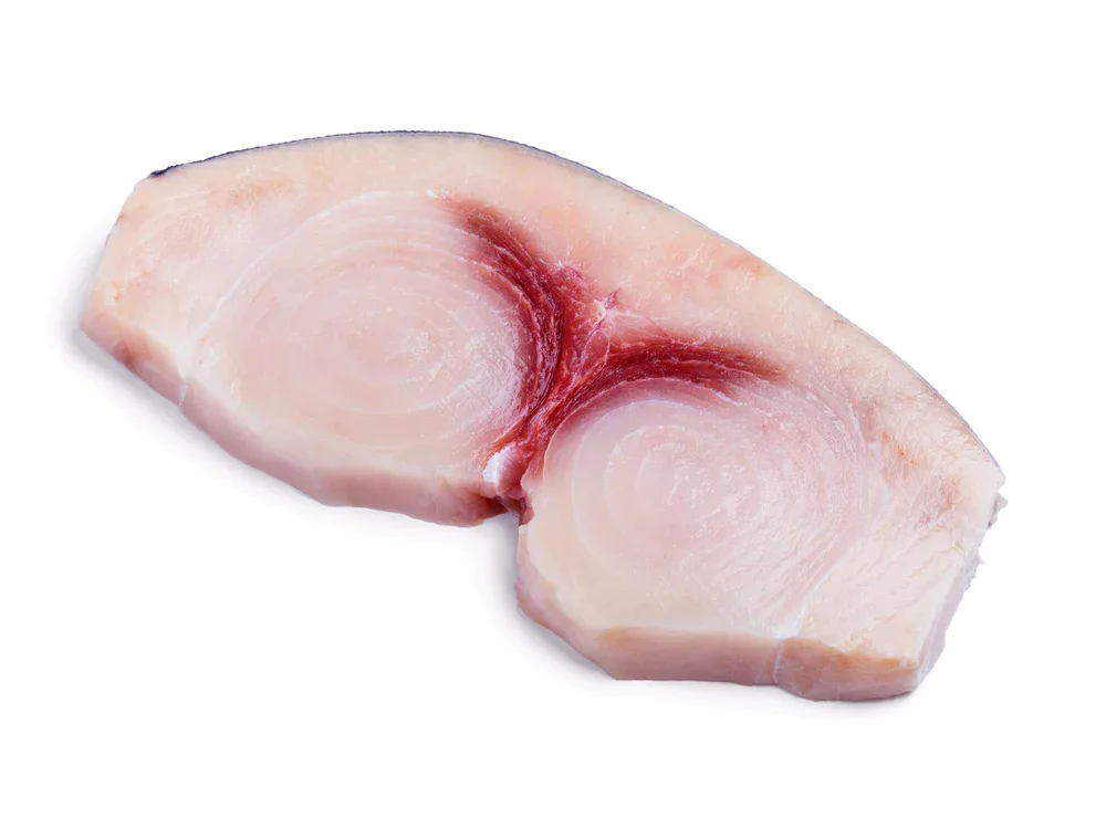 swordfish