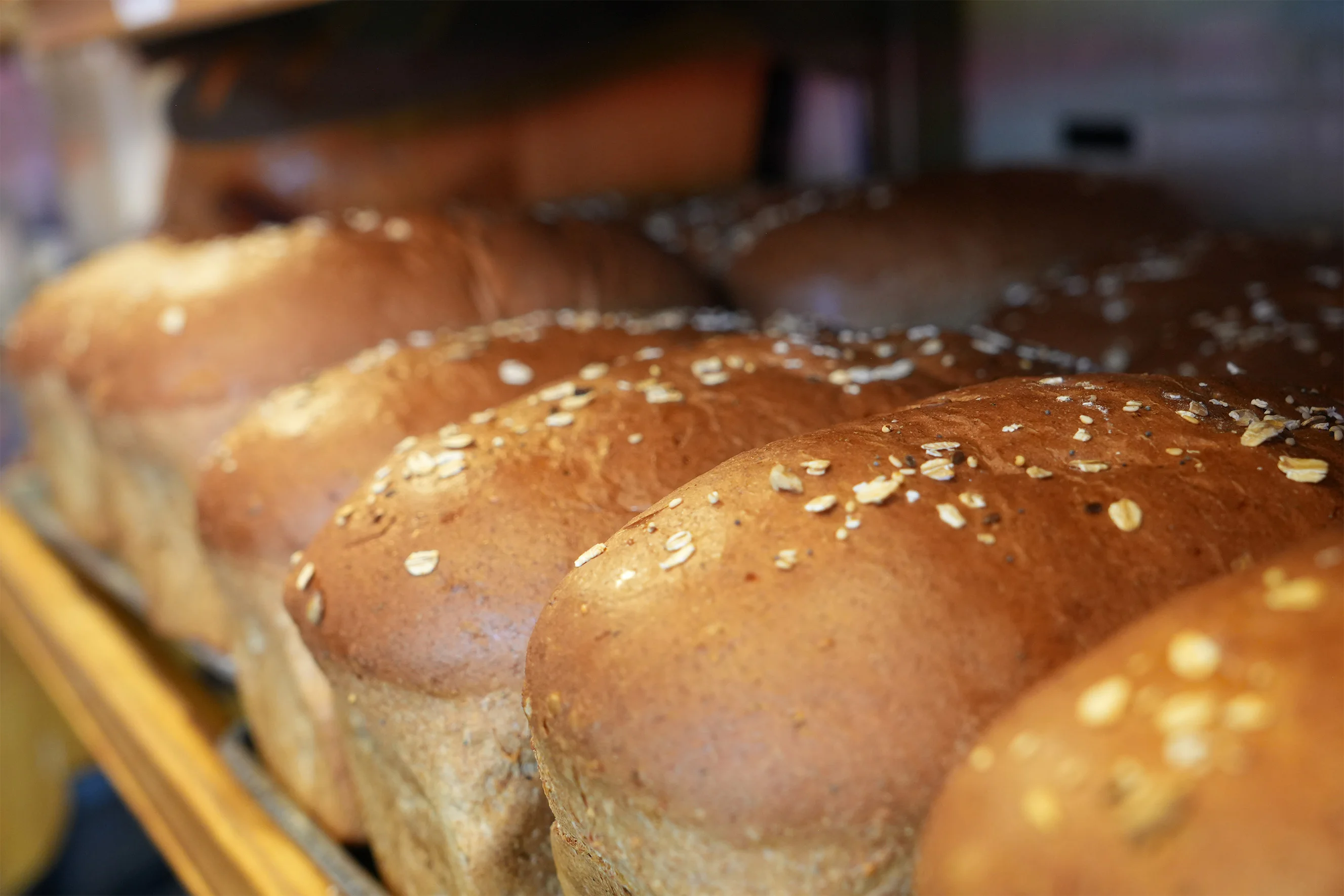 Freshly baked multigrain bread loaves with oat topping