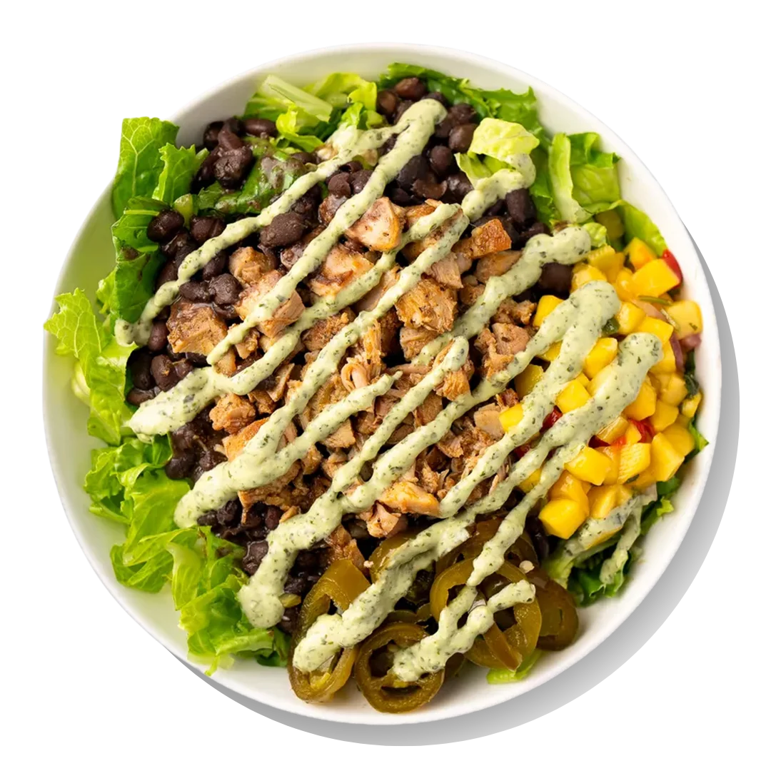 A white bowl of salad with green lettuce, seasoned dark meat, croutons, and a drizzle of white dressing, possibly ranch or sour cream, and grated cheese.