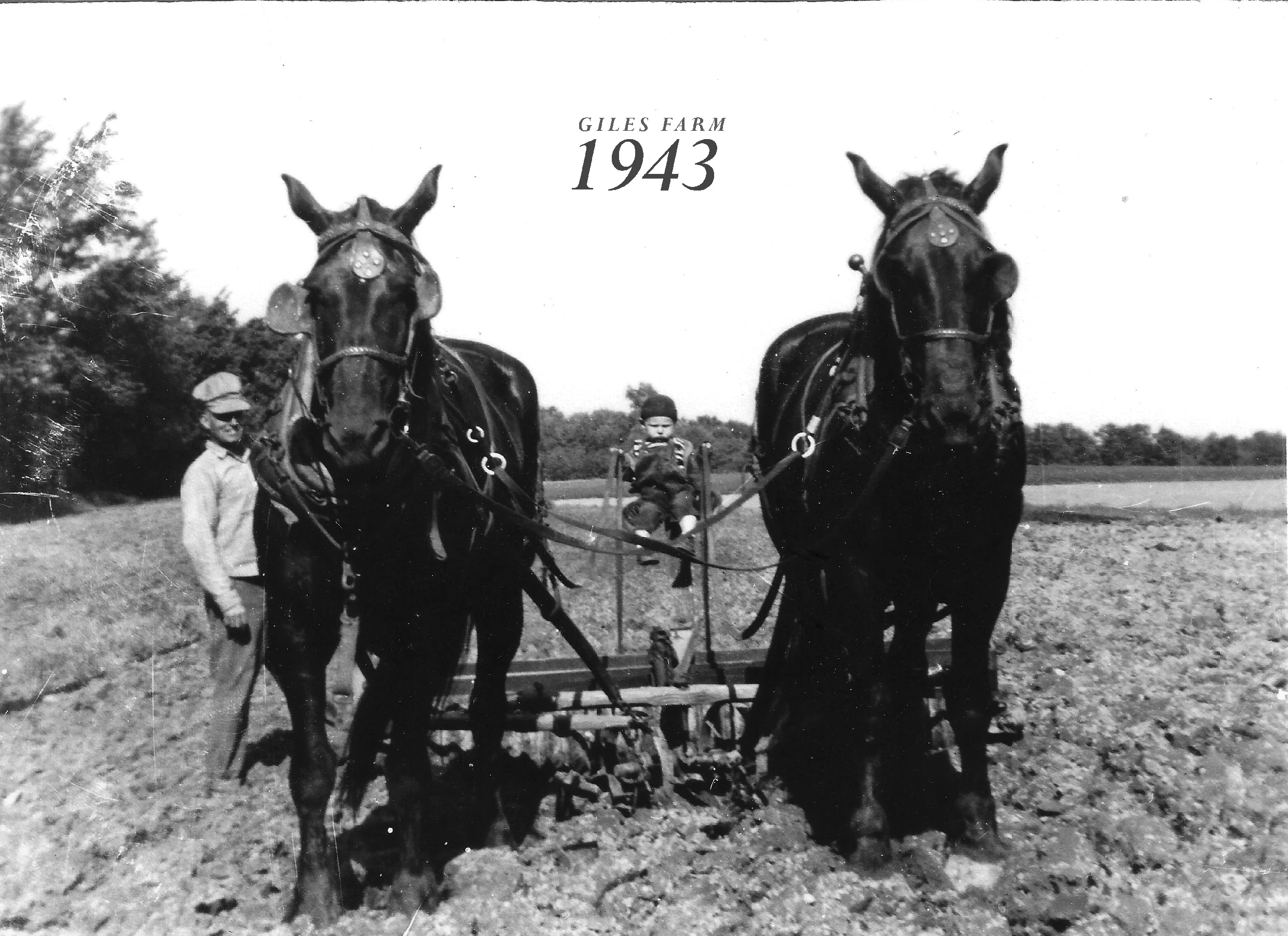 Historic black and white photo of Giles Farm from 1943.