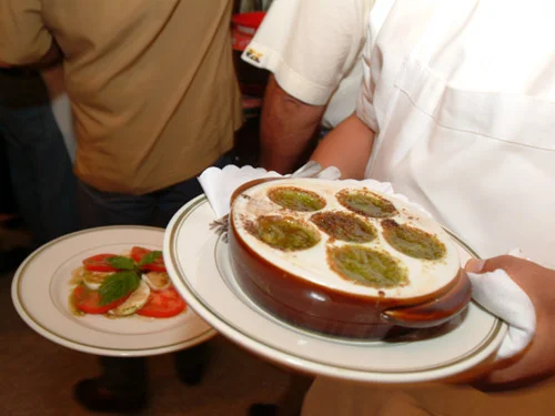 Baked Middle Eastern dish of stuffed grape leaves with yogurt sauce
