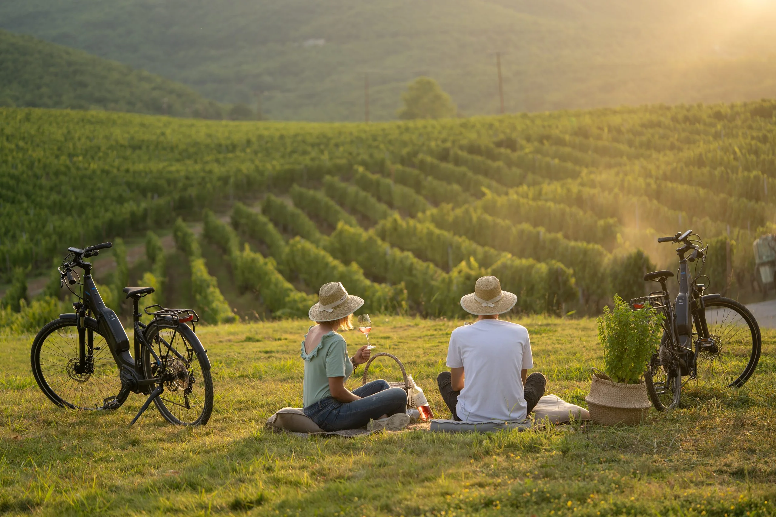 Couple enjoying wine in a vineyard at sunset