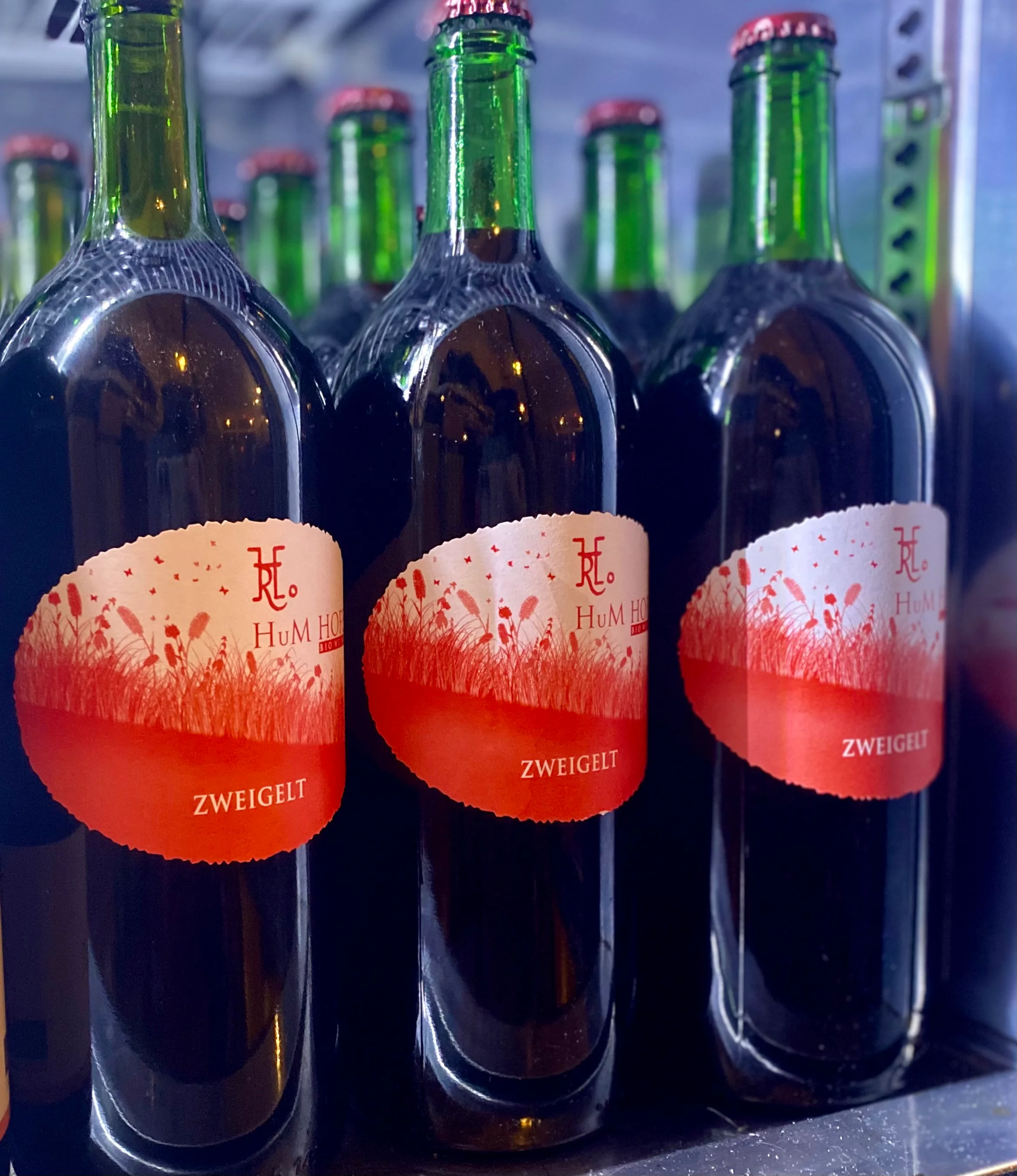 wine