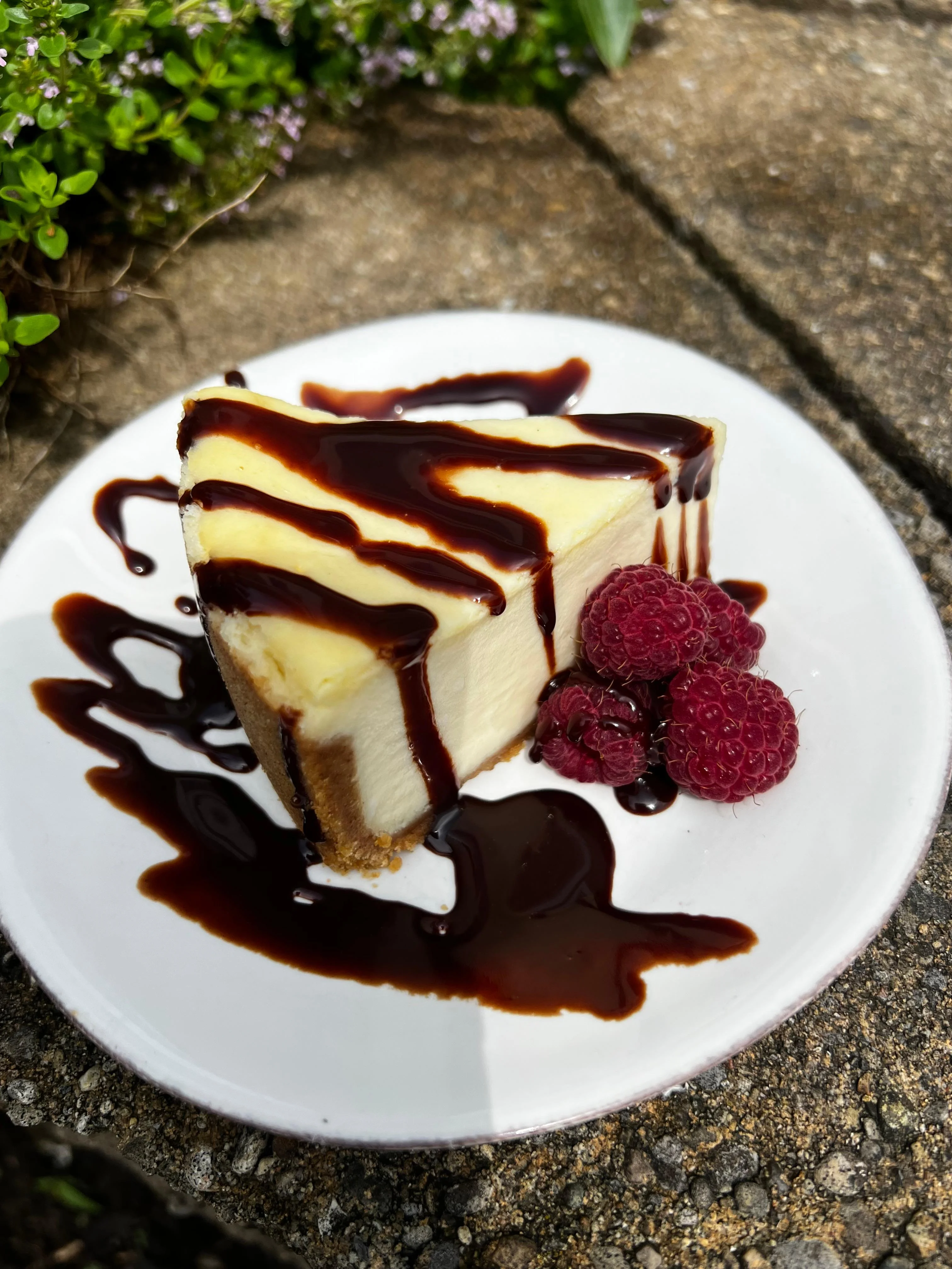 Vanilla Bean Cheesecake