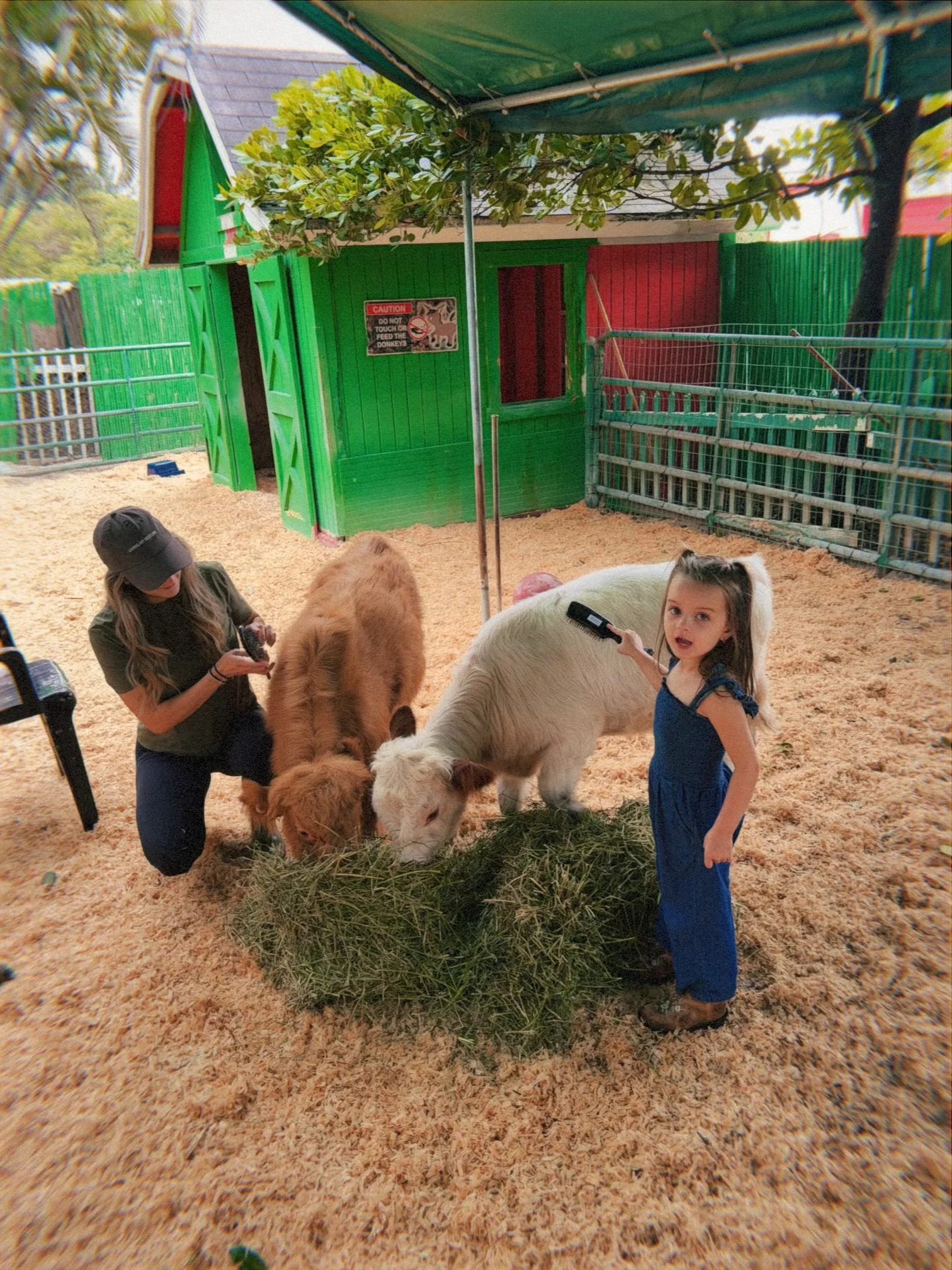Child feeding animals in a petting zoo with colorful barn