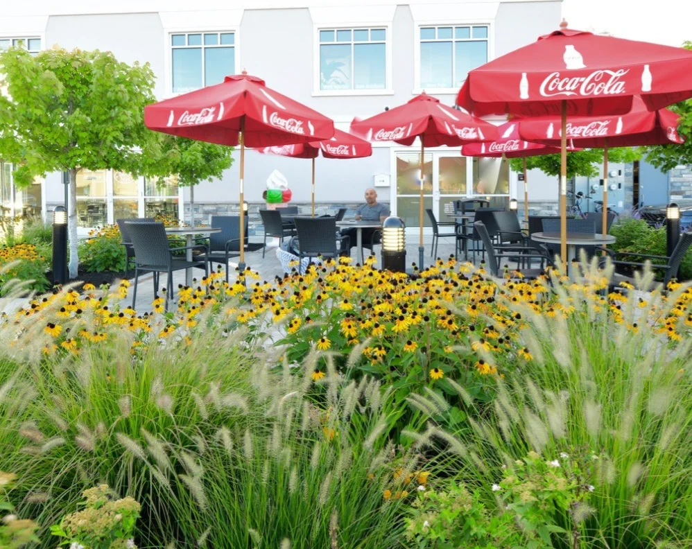 Outdoor dining area with colorful umbrellas and blooming flowers