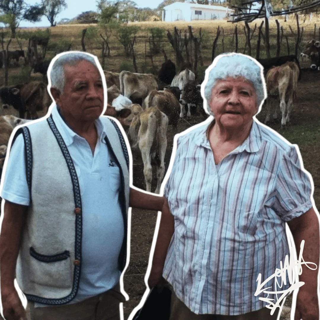Elderly couple standing in a farm with cows in the background