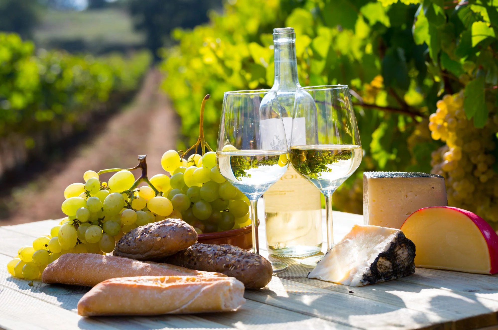 Wine and cheese pairing in a vineyard setting