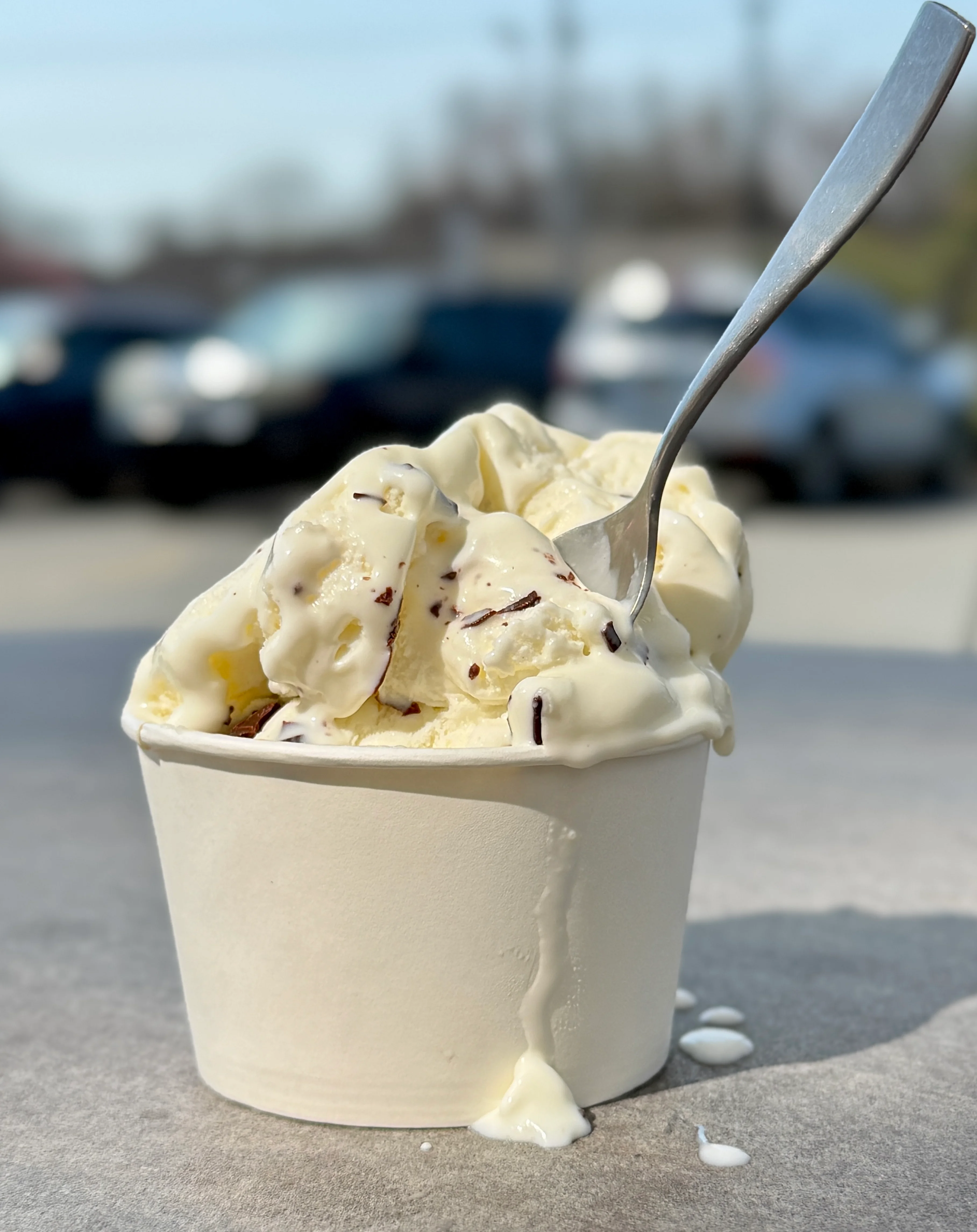 House-made gelato and sorbet cups in rotating seasonal flavors