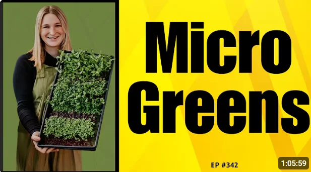 Person holding a tray of vibrant microgreens in a bright setting