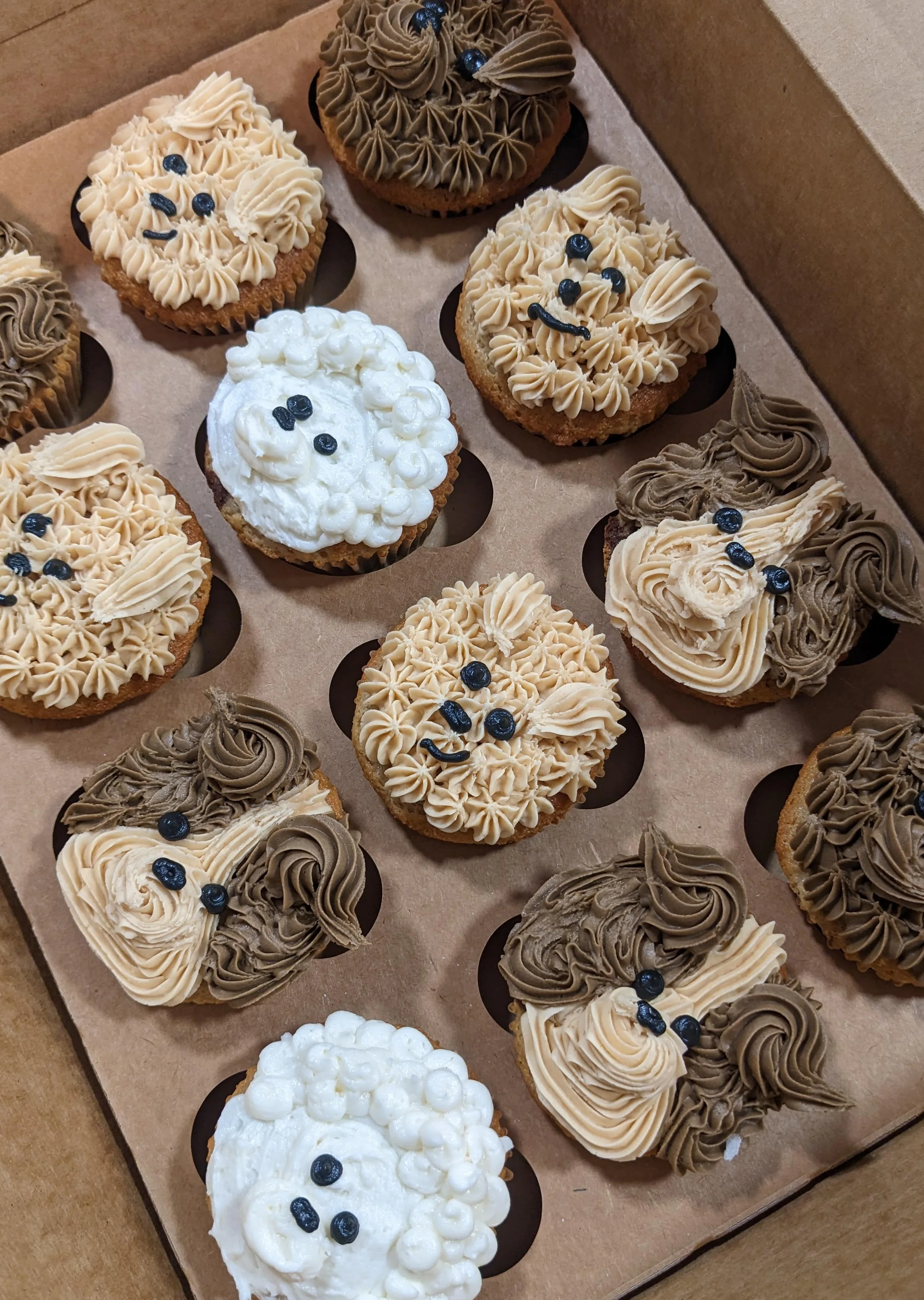 Decorative animal-themed cupcakes in a bakery box
