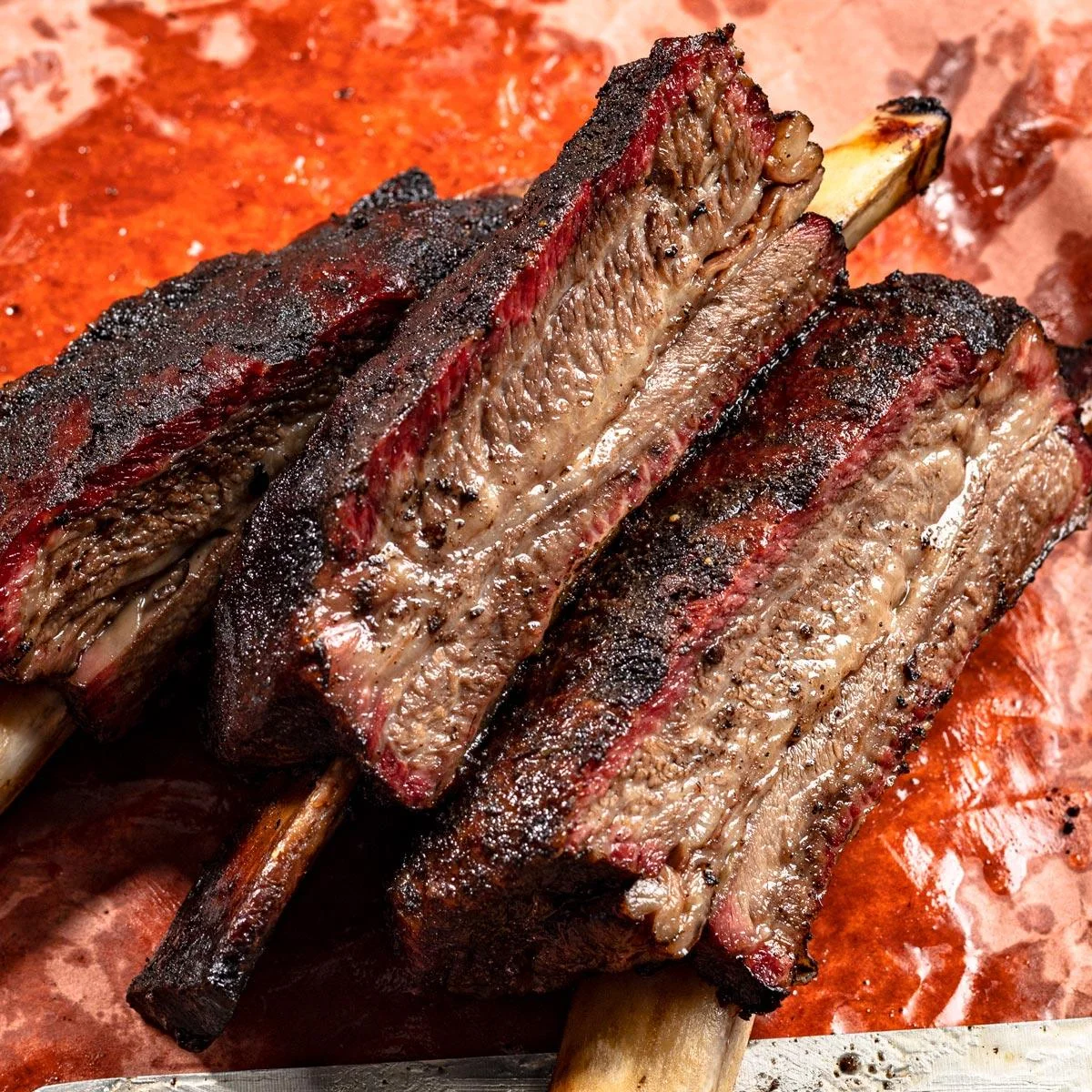 RIBS