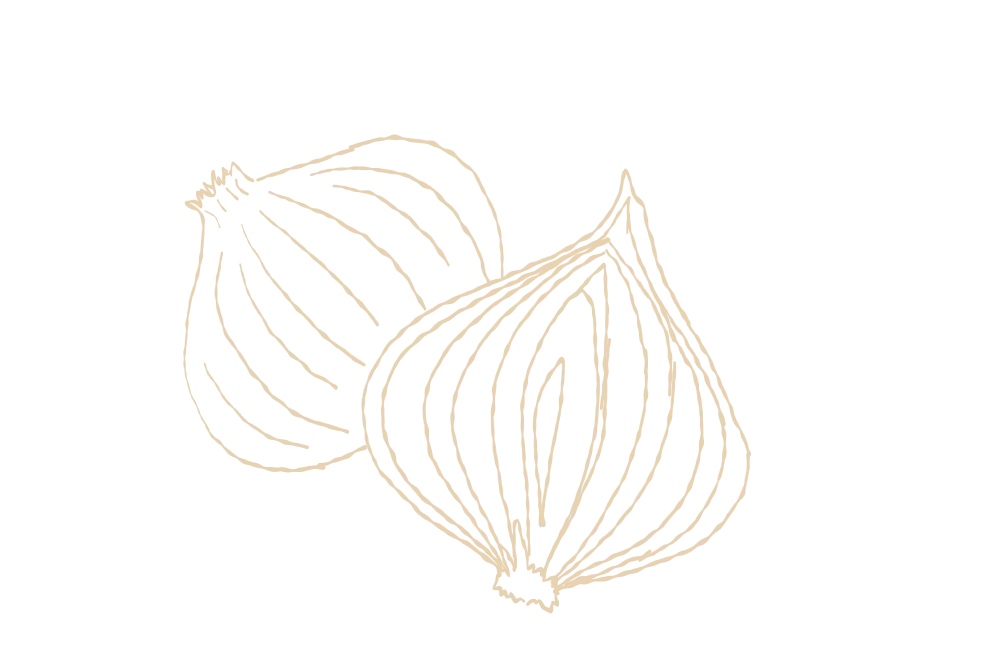 Illustration of two onions with detailed lines.