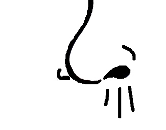 nose