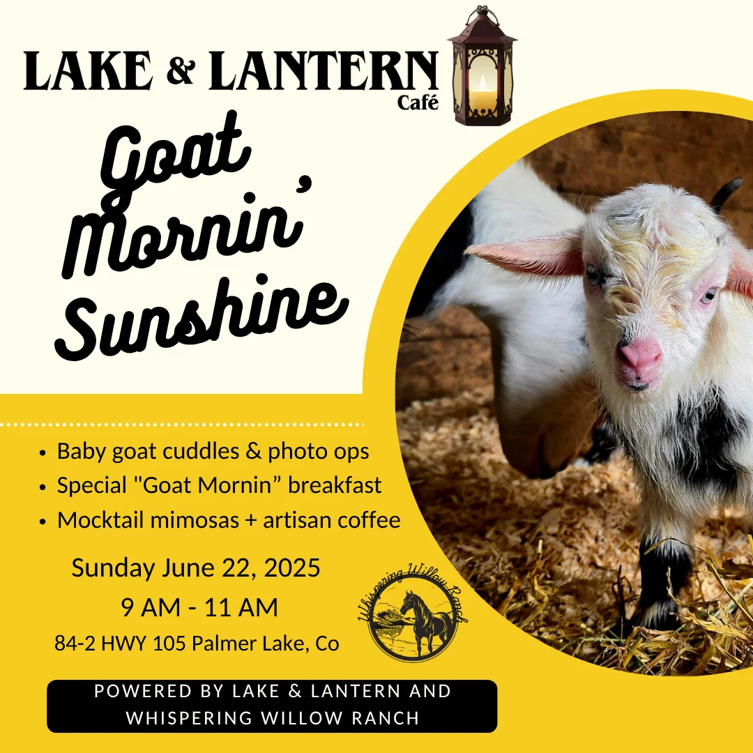 Baby goat at a café event for cuddles and breakfast