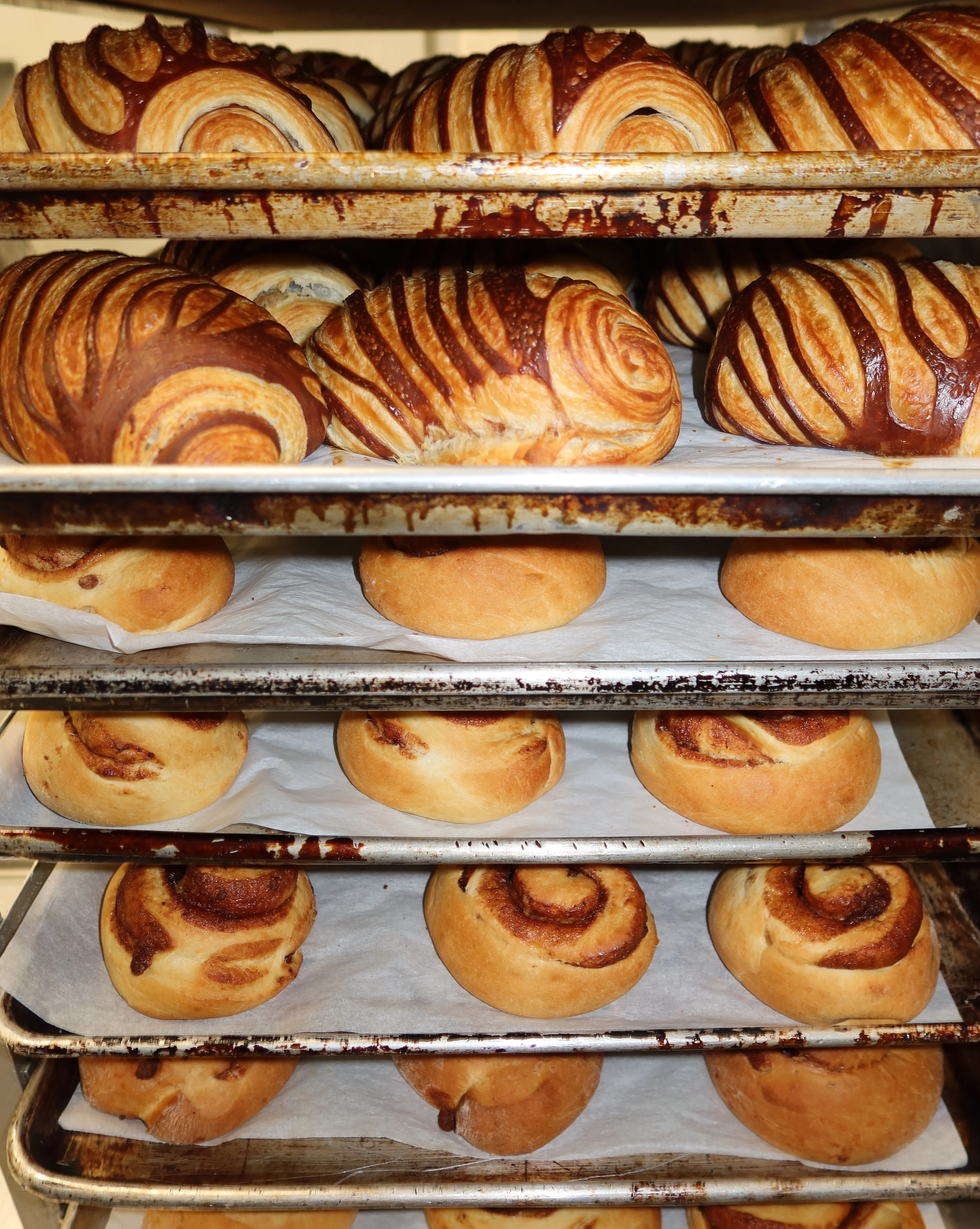 Freshly baked chocolate croissants and cinnamon rolls on baking trays