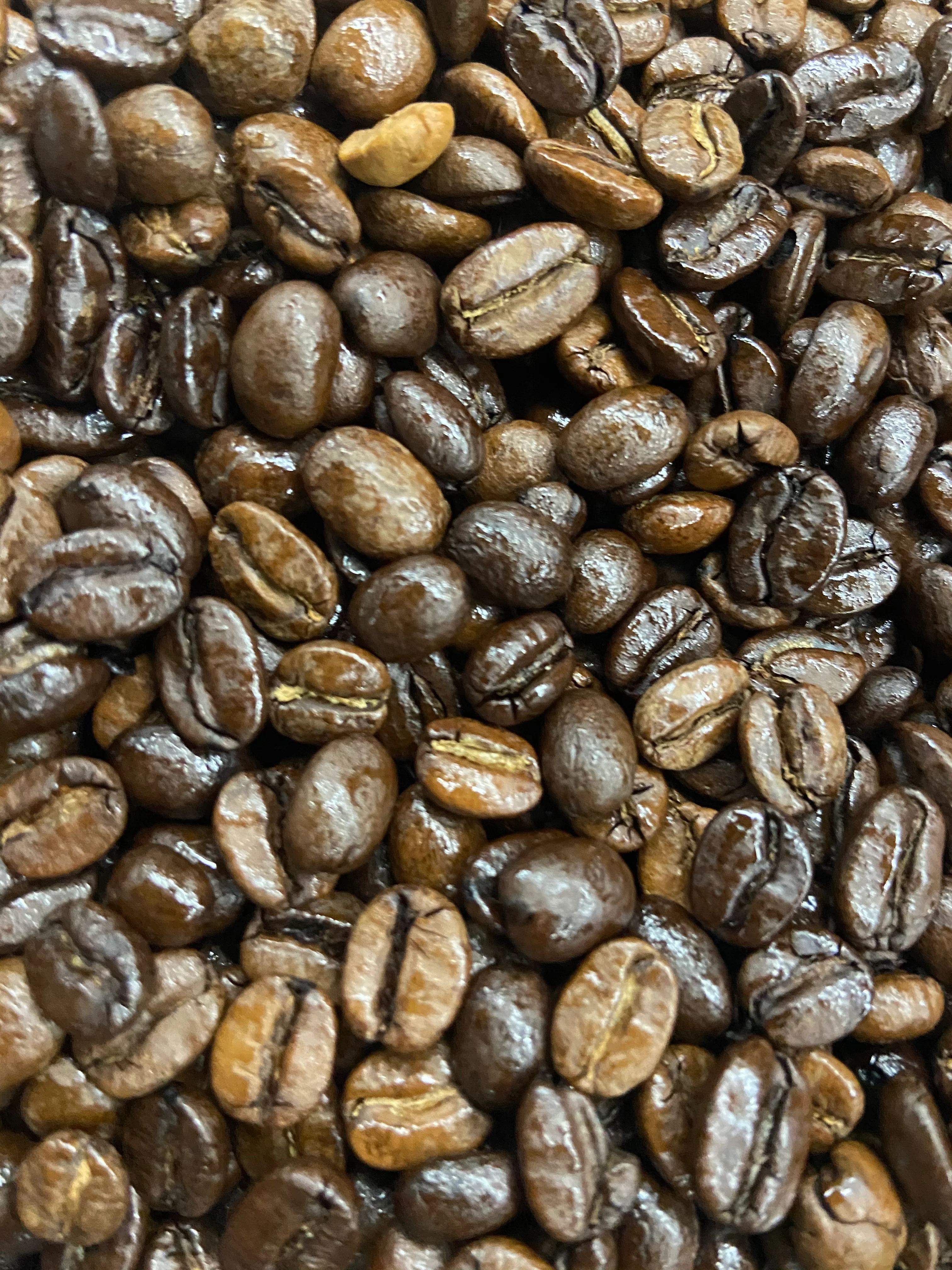 A coffee cup with a logo on a wooden surface, surrounded by coffee beans and against a red backdrop.