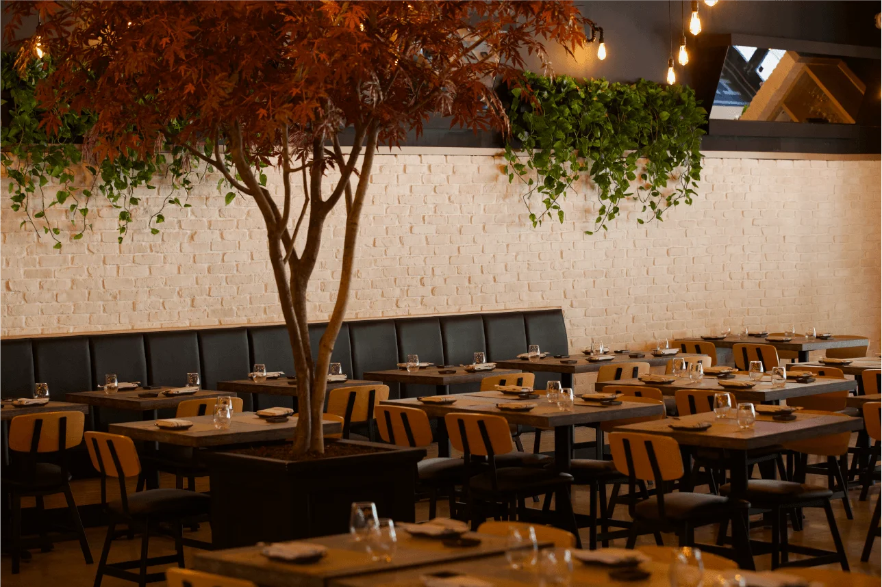 Ke-uH Boca Raton dining room set with empty wooden tables and chairs, featuring a long black booth along a white brick wall decorated with hanging green vines, and a decorative indoor tree with reddish-brown leaves in the foreground.