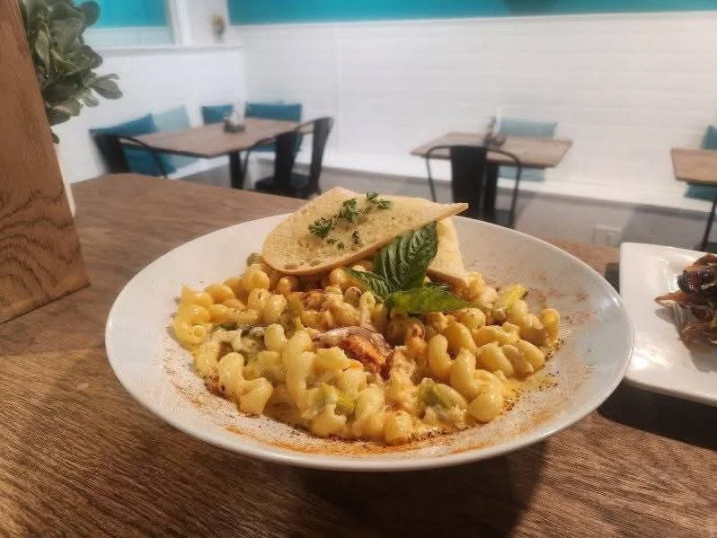 Creamy Italian macaroni with herbs and garlic bread