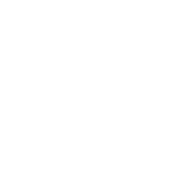 Little Belt Cattle Company