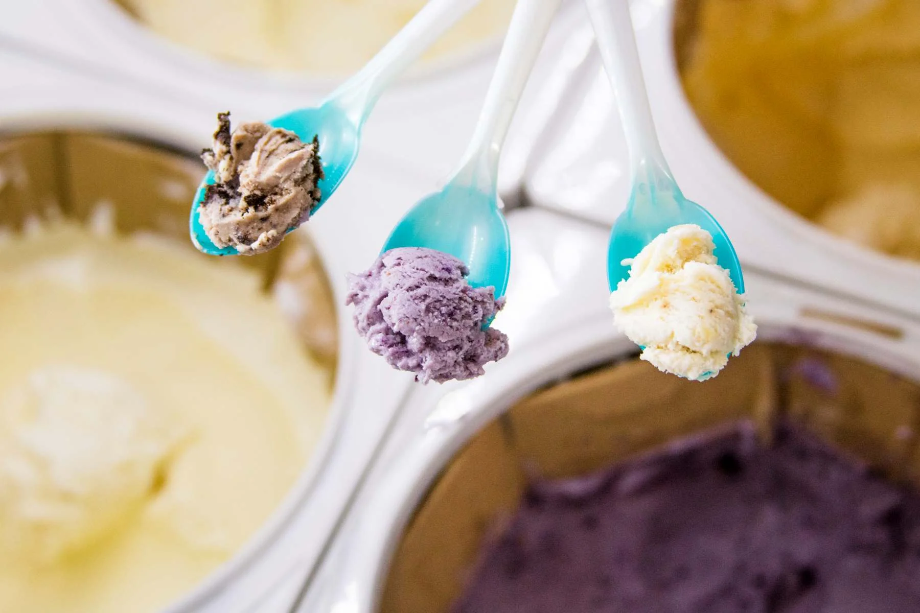 Three plastic tasting spoons holding samples of gourmet ice cream flavors—cookies and cream, blueberry, and vanilla—hovering over tubs of artisan ice cream in a display freezer.