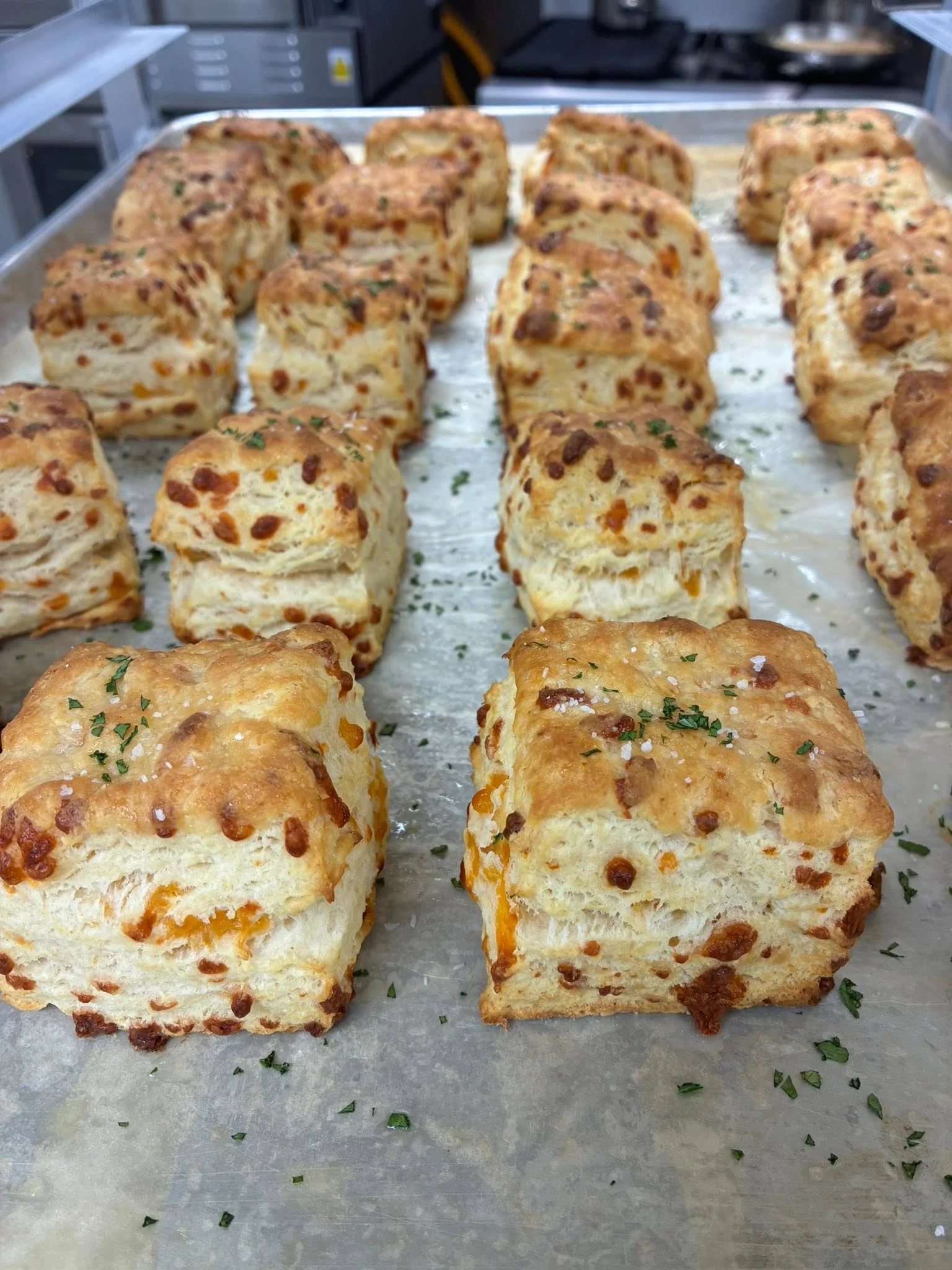 Freshly baked cheese biscuits on a tray, garnished with herbs.