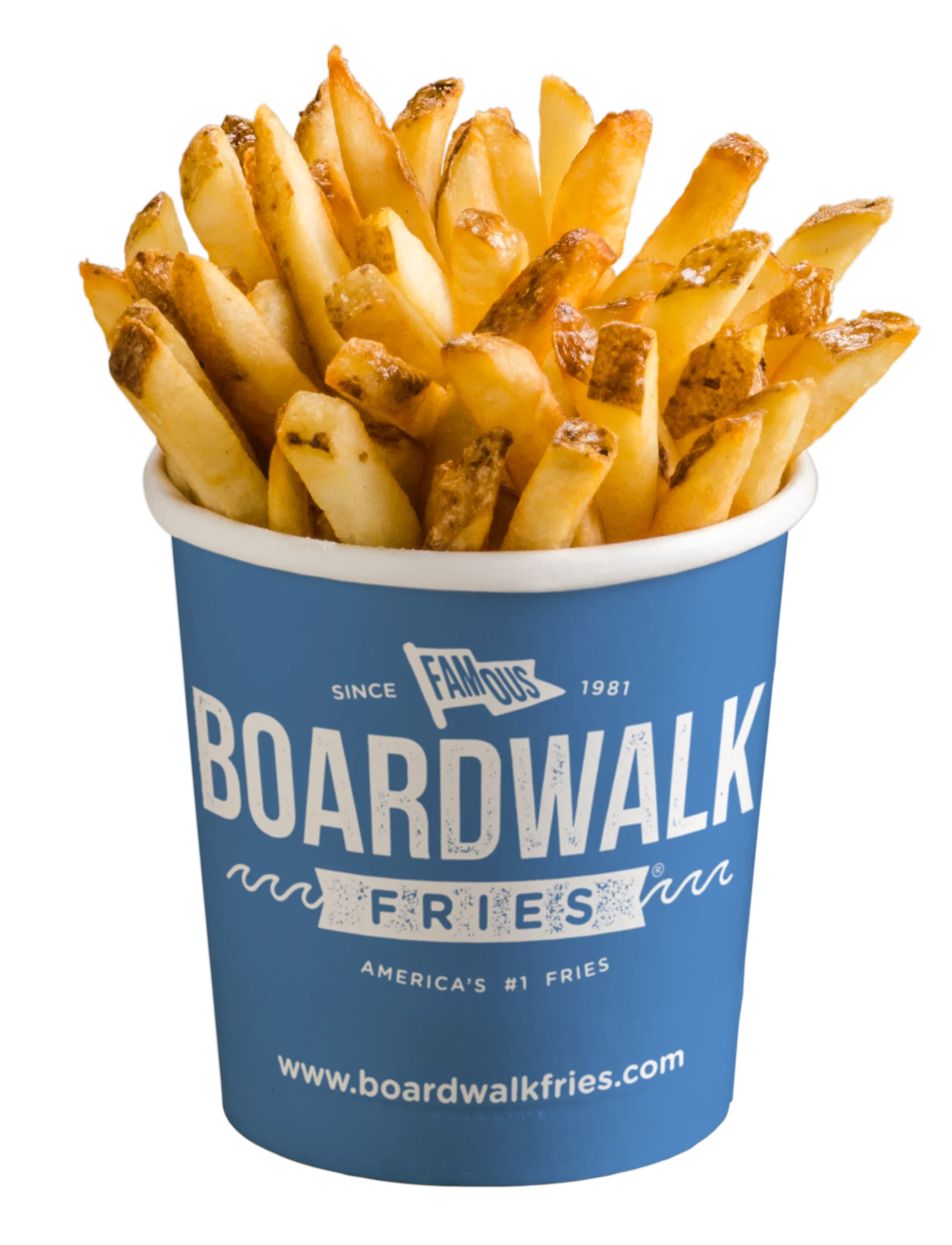 Crispy boardwalk fries in a blue cup