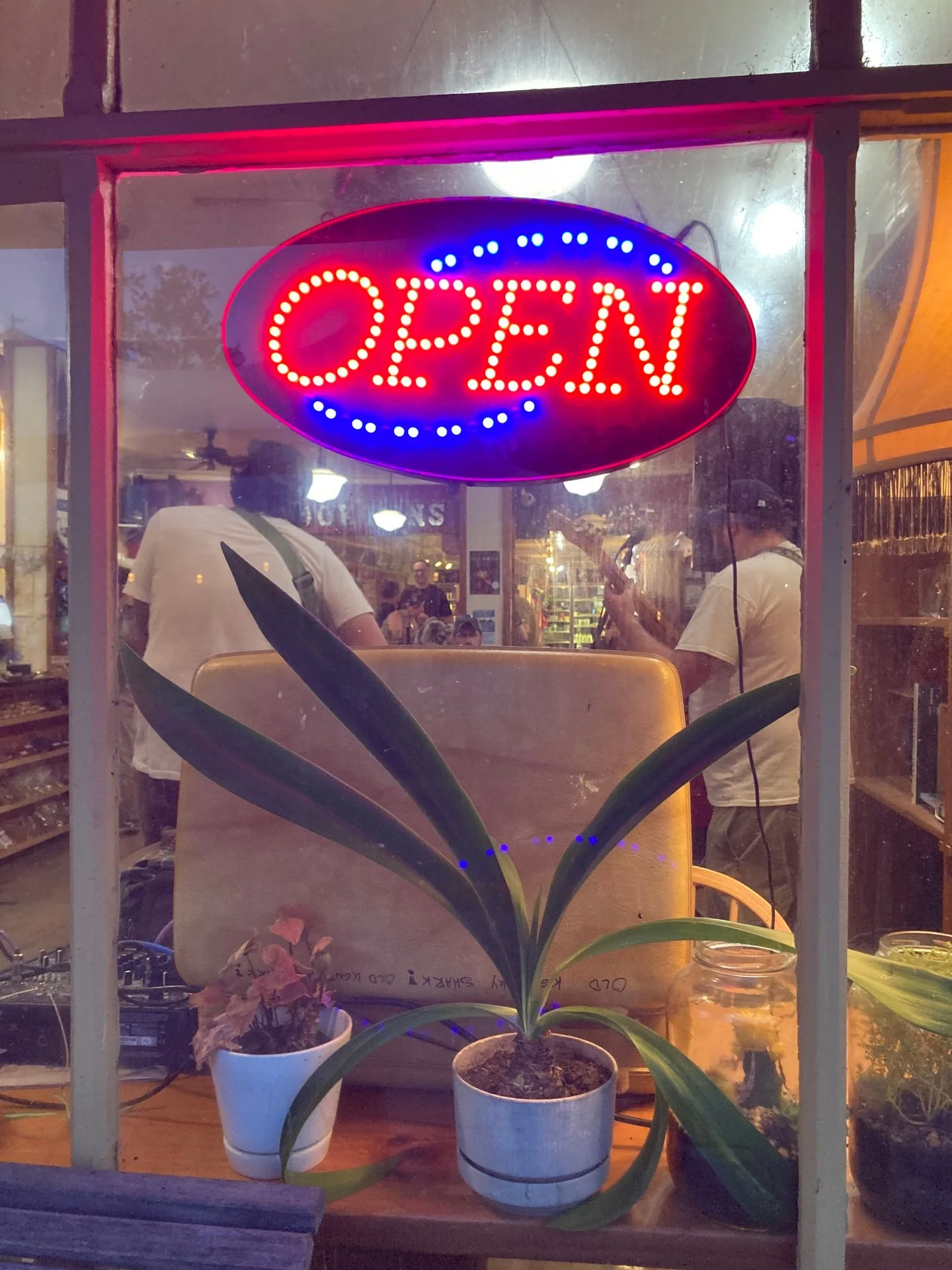 A brightly lit 'OPEN' sign in a shop window, with potted plants visible in the foreground and an indoor performance in the background.