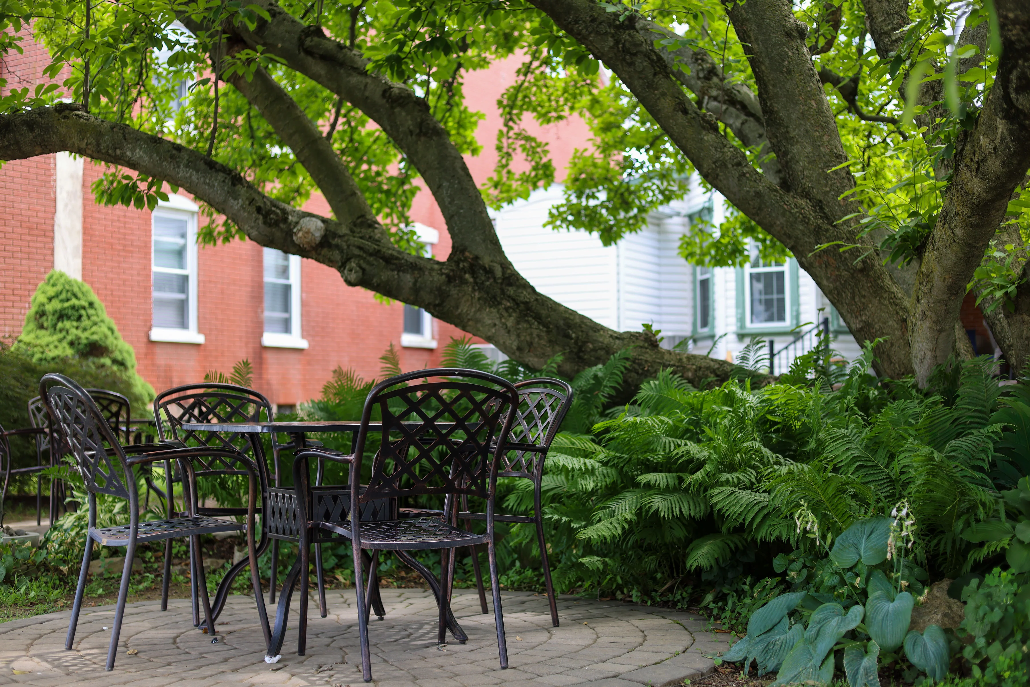 Charming garden seating under a large tree with colorful tulips