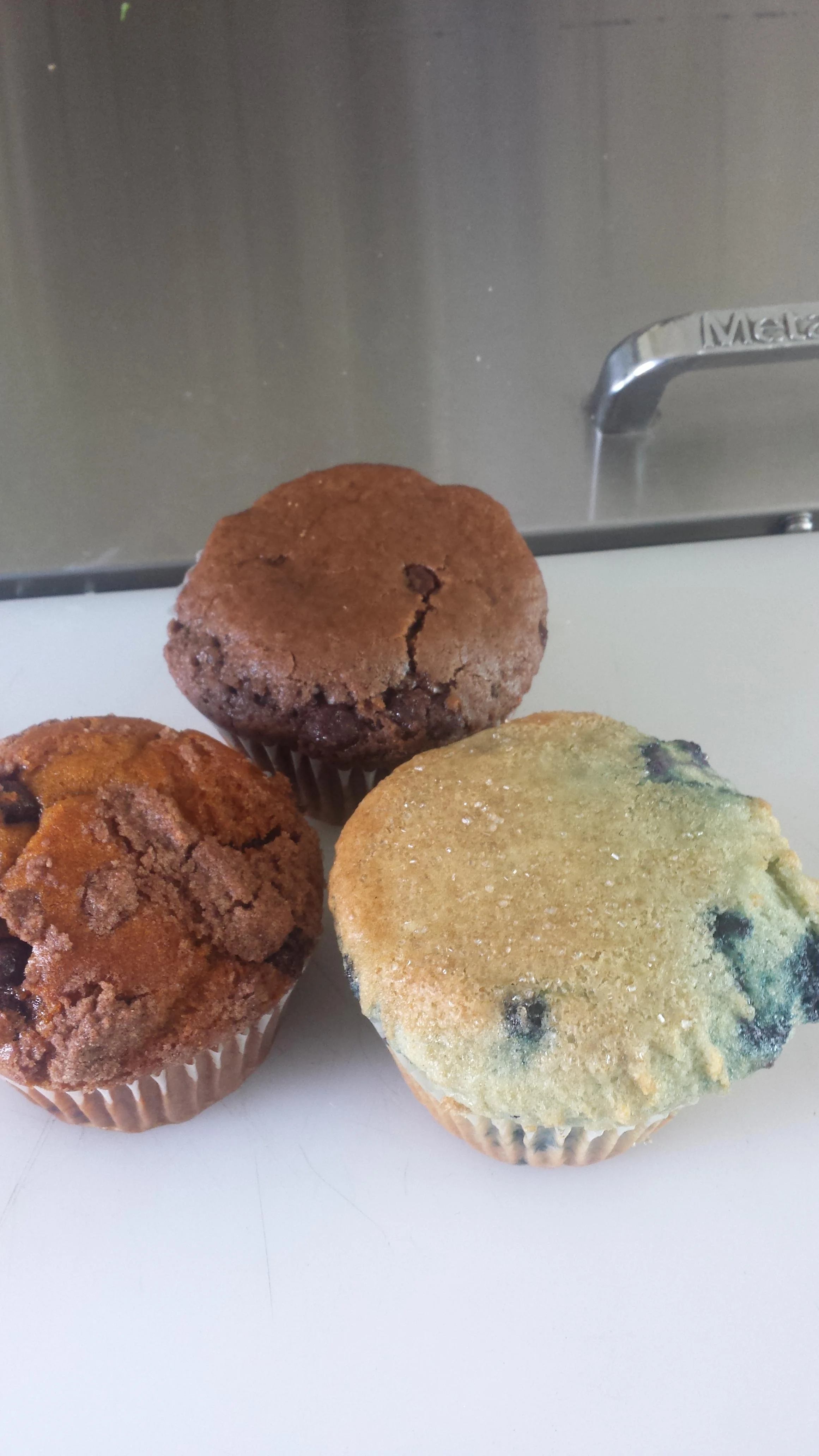 Muffin of the Day