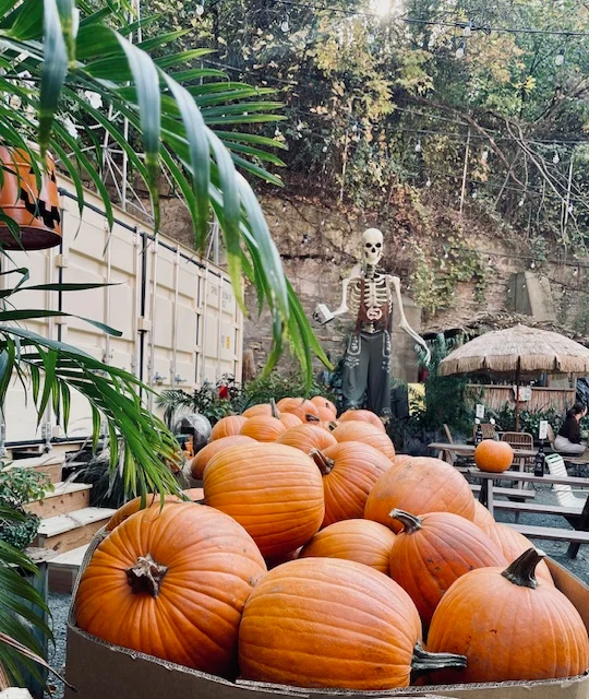 Pumpkin display with Halloween skeleton decoration in outdoor setting