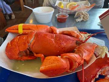 Photo from Barrie H.'s review