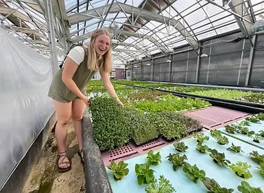 Smiling woman harvesting fresh greens in a greenhouse