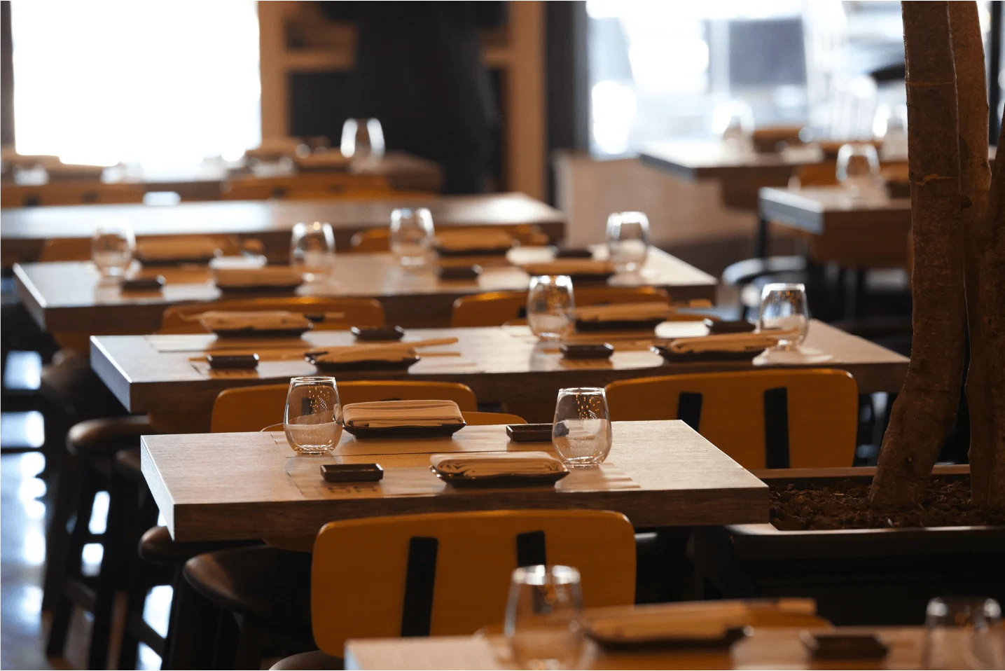 Ke-uH oca Raton dining area featuring rows of set wooden tables with yellow-backed chairs, clear water glasses, neatly folded napkins, and small soy sauce dishes, with an indoor tree trunk visible on the right.