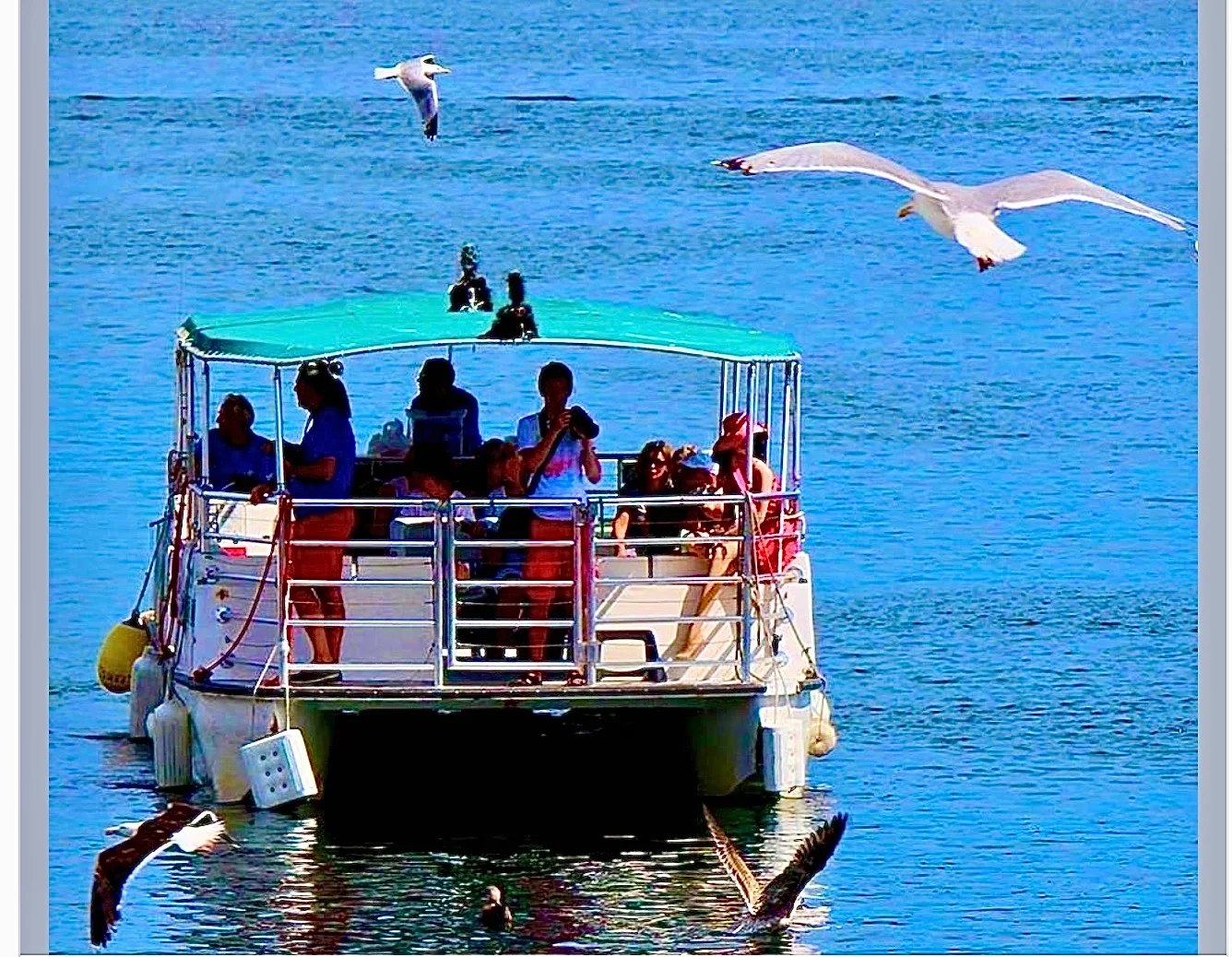 Where do locals eat in gloucester MA favorite best sunset