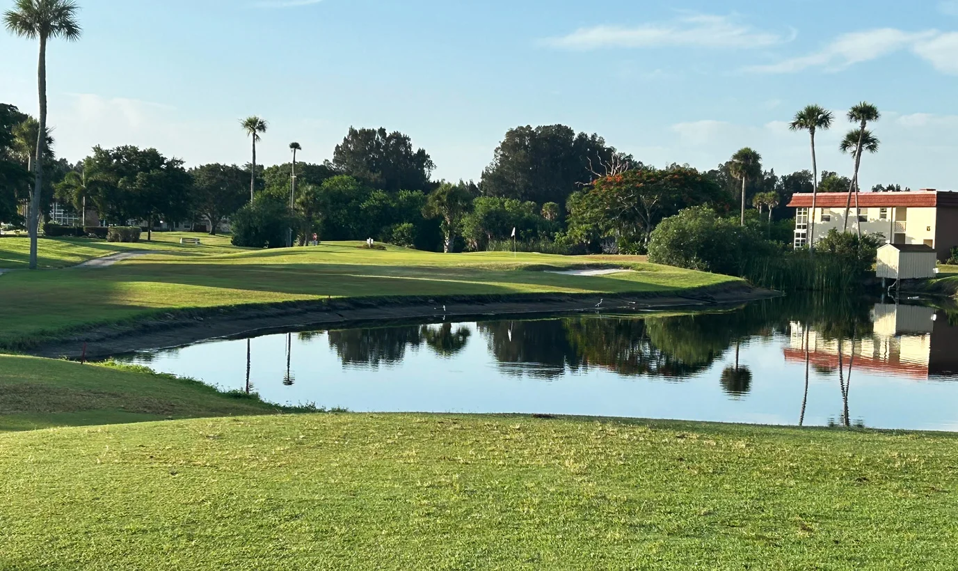 Scenic golf course with palm trees and a tranquil pond