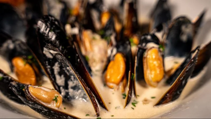 Mussels