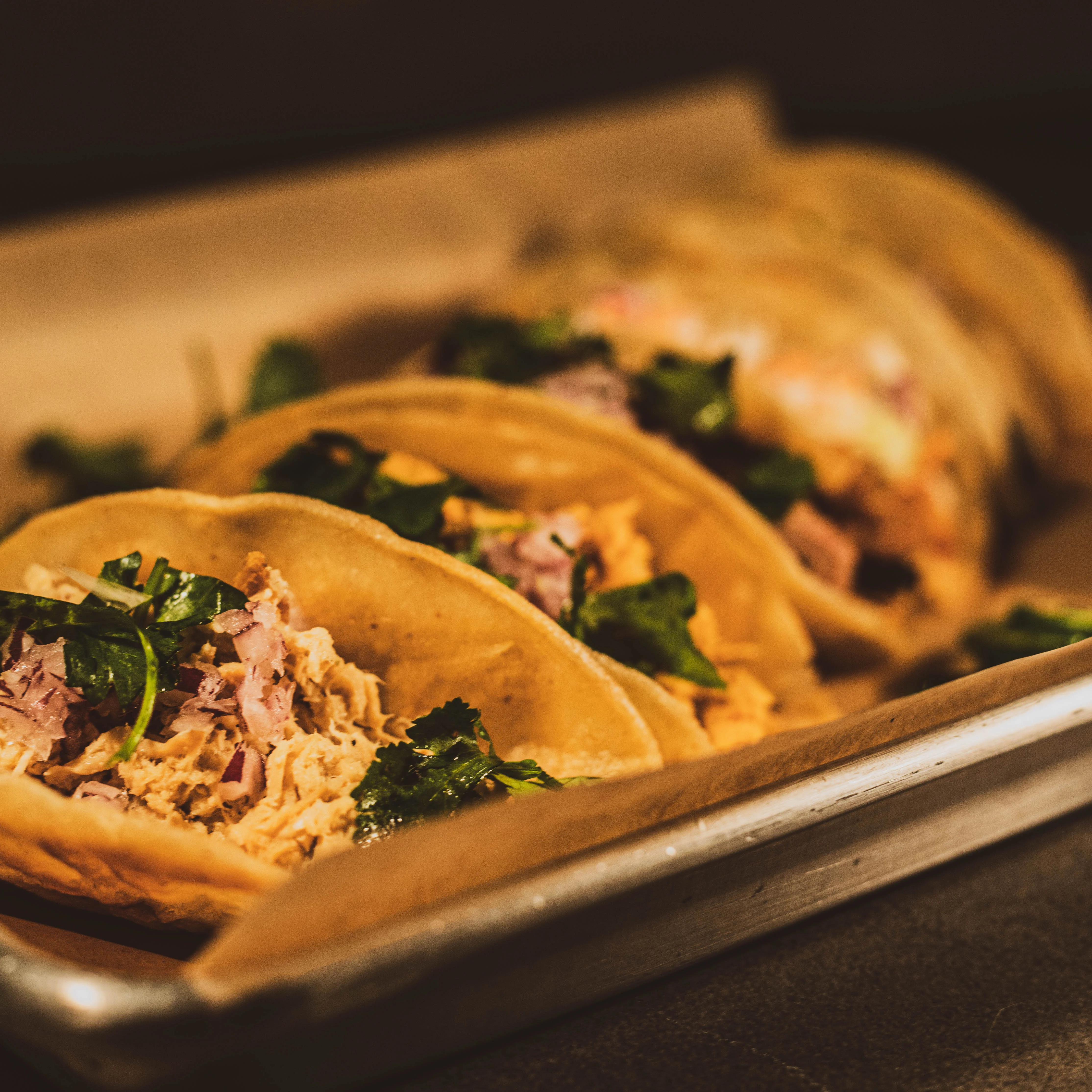 A close-up view of several tacos filled with shredded chicken, cilantro, and onions, served in soft corn tortillas.