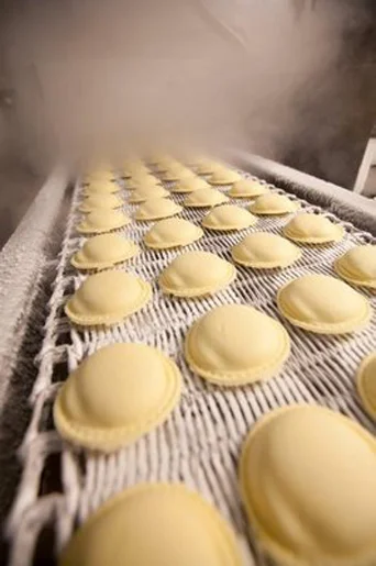 Freshly made ravioli on a production line